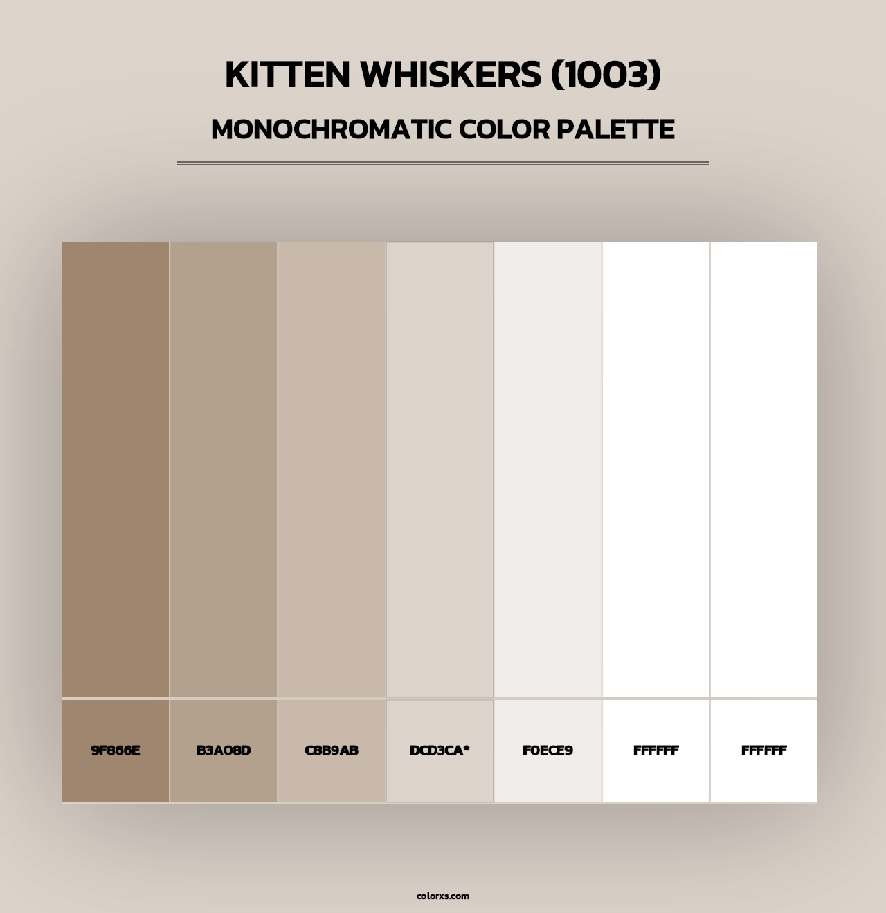 Kitten Whiskers (1003) - Monochromatic Color Palette