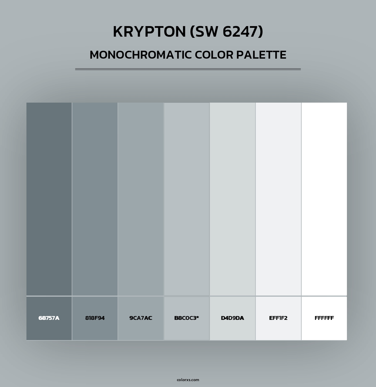 Krypton (SW 6247) - Monochromatic Color Palette