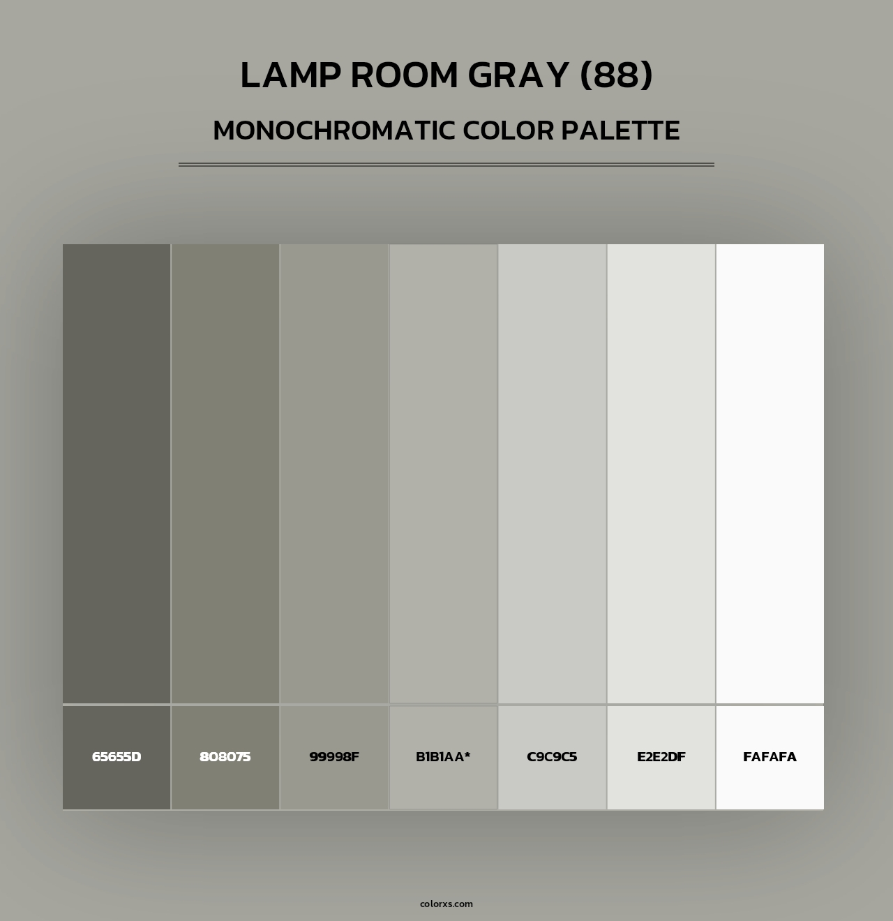 Lamp Room Gray (88) - Monochromatic Color Palette