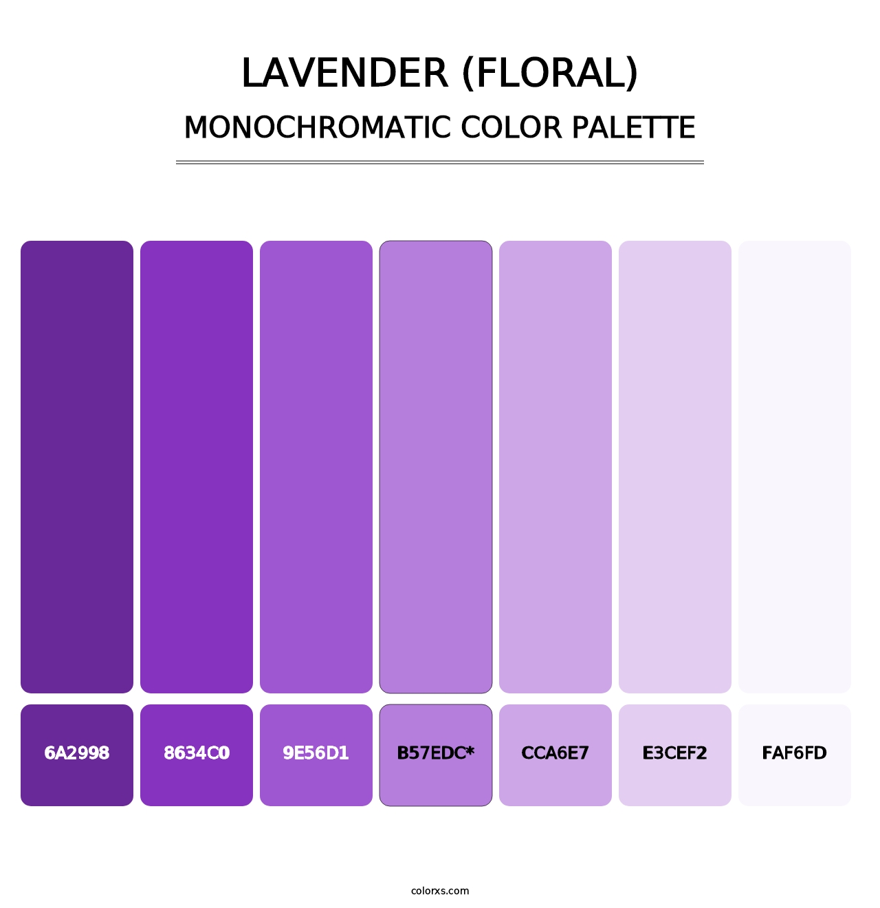 Lavender (Floral) - Monochromatic Color Palette