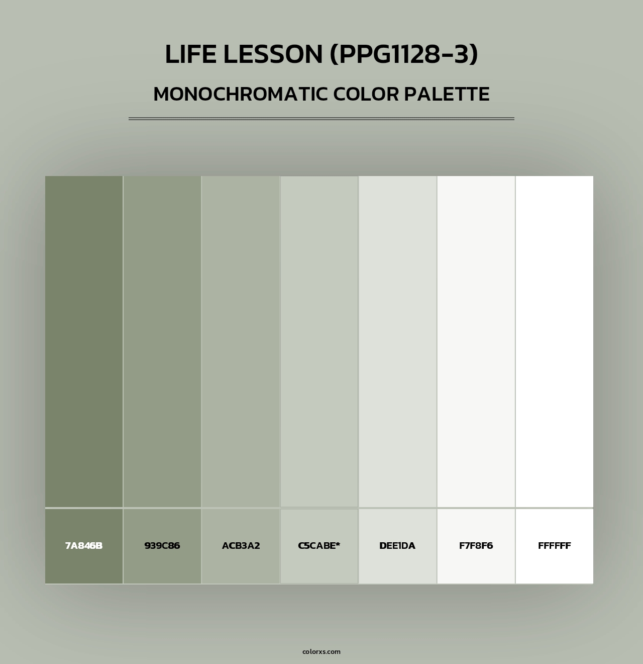 Life Lesson (PPG1128-3) - Monochromatic Color Palette