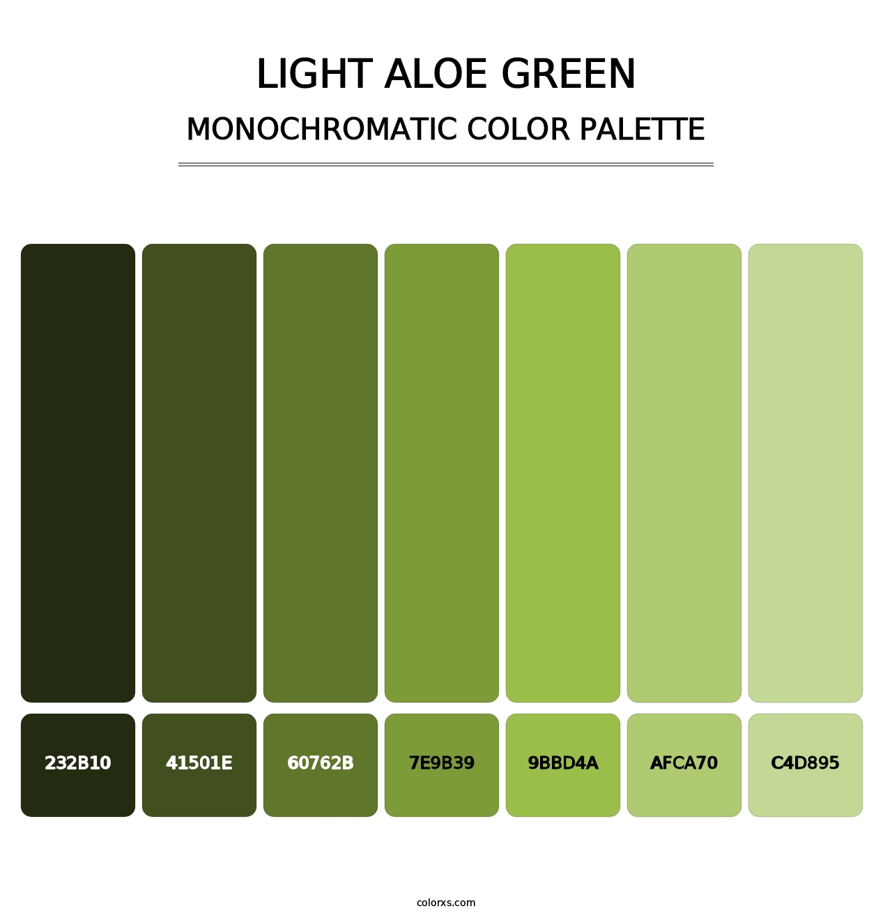 Light Aloe Green - Monochromatic Color Palette