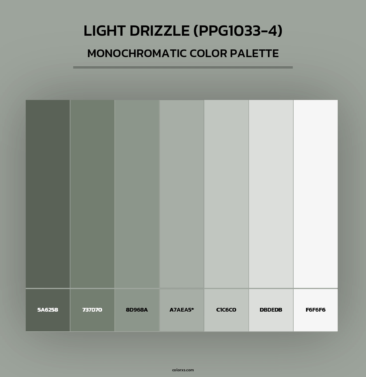 Light Drizzle (PPG1033-4) - Monochromatic Color Palette