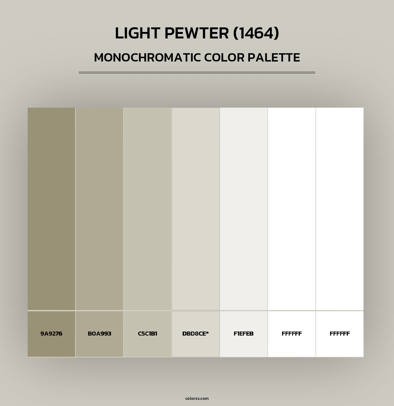 Light Pewter (1464) - Monochromatic Color Palette