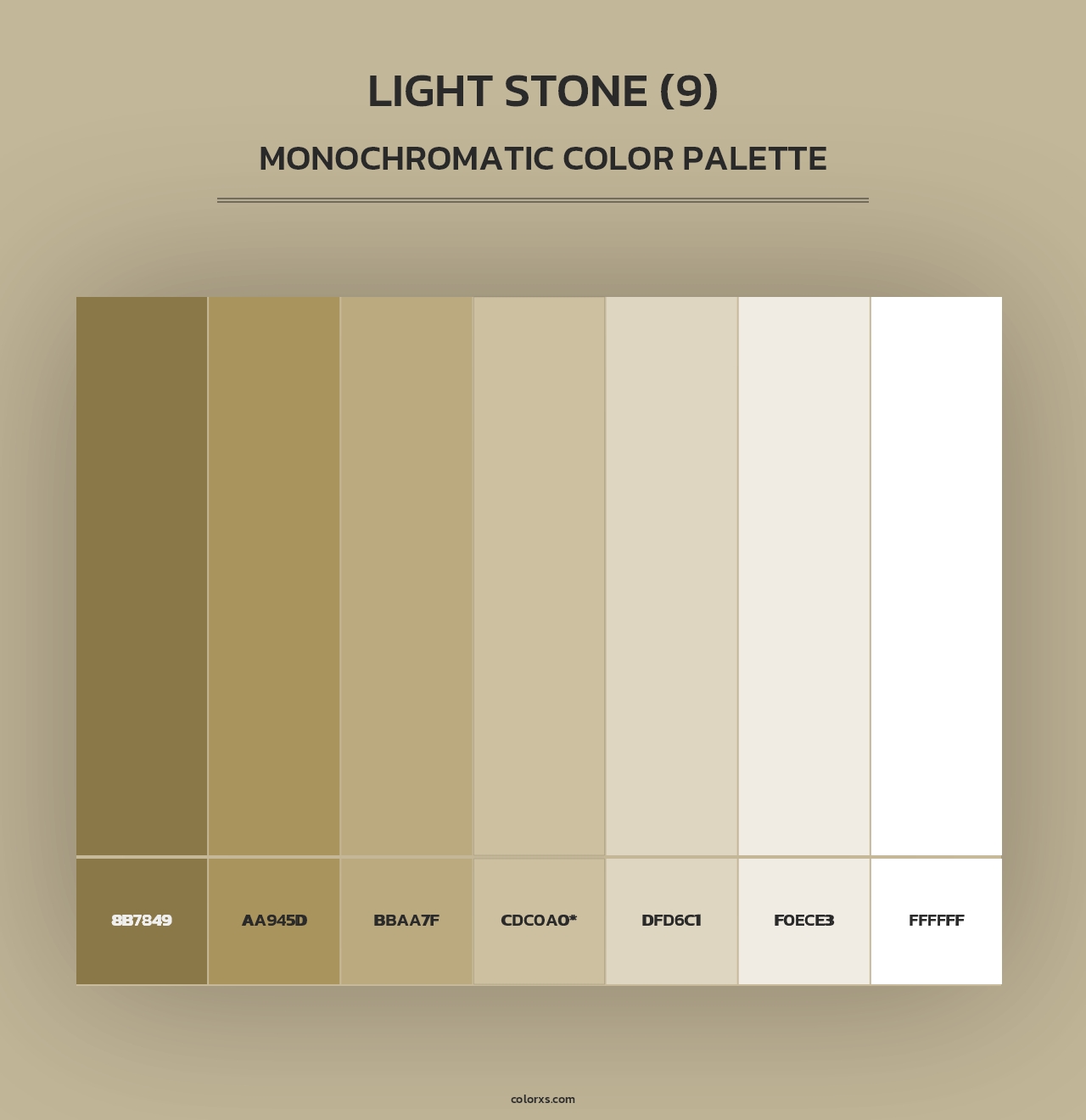 Light Stone (9) - Monochromatic Color Palette