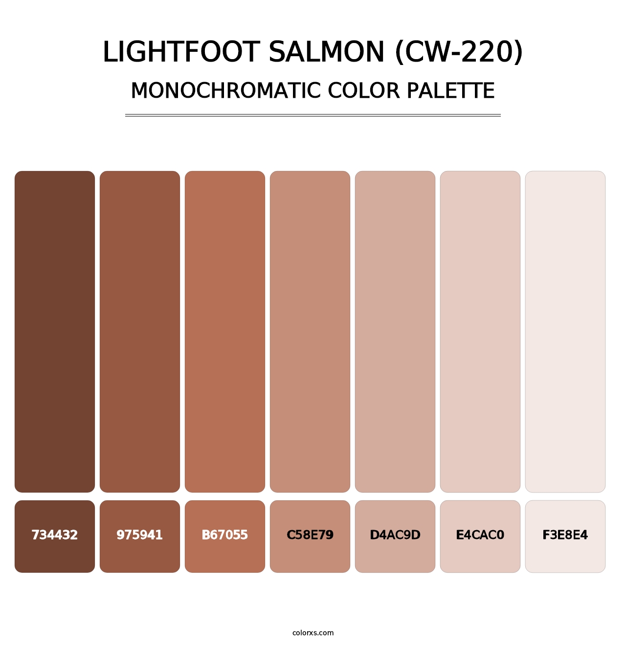 Lightfoot Salmon (CW-220) - Monochromatic Color Palette