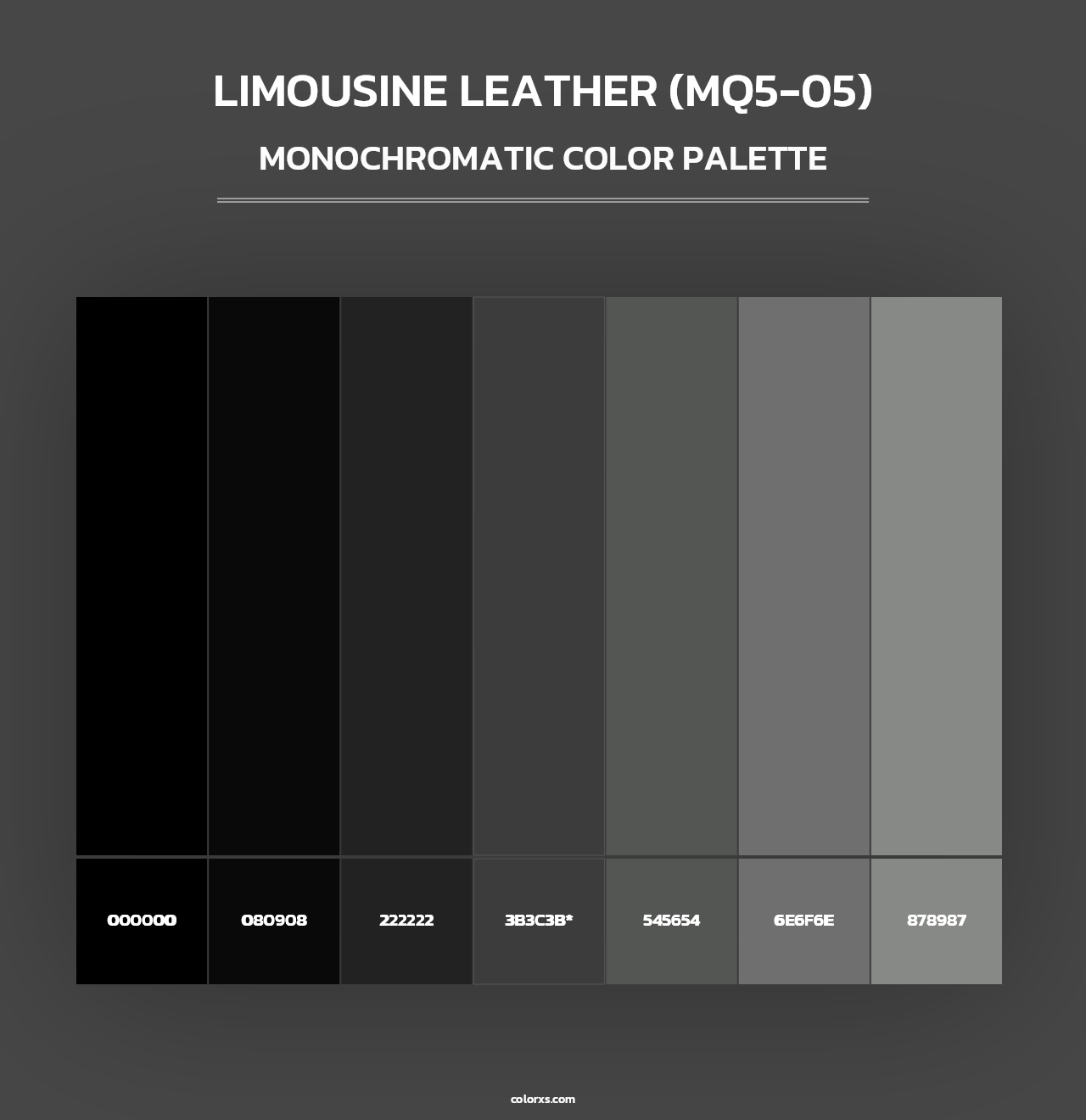 Limousine Leather (MQ5-05) - Monochromatic Color Palette
