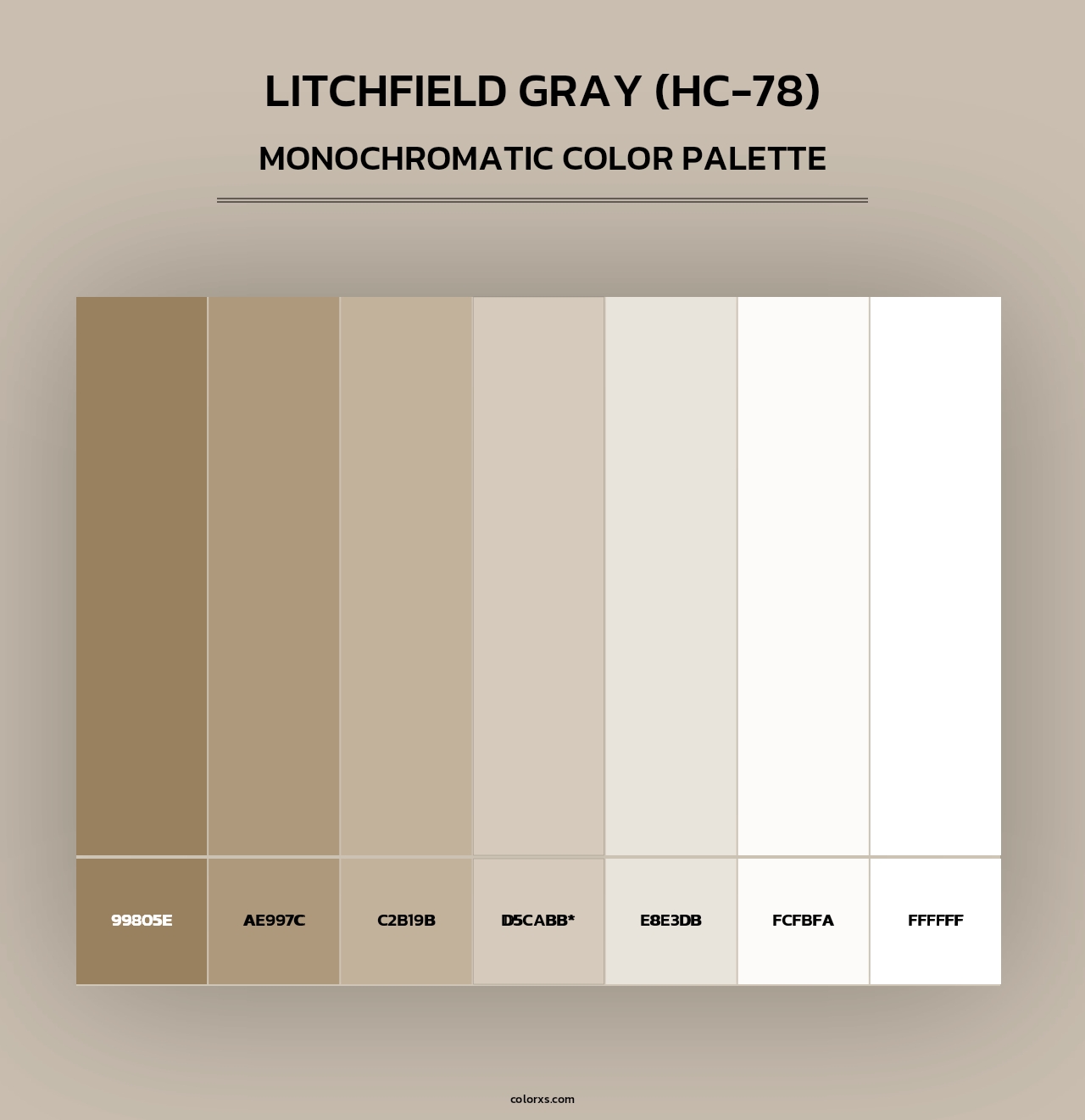 Litchfield Gray (HC-78) - Monochromatic Color Palette