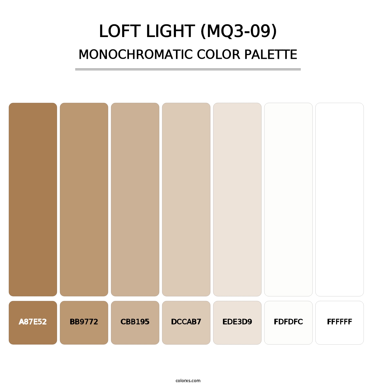 Loft Light (MQ3-09) - Monochromatic Color Palette