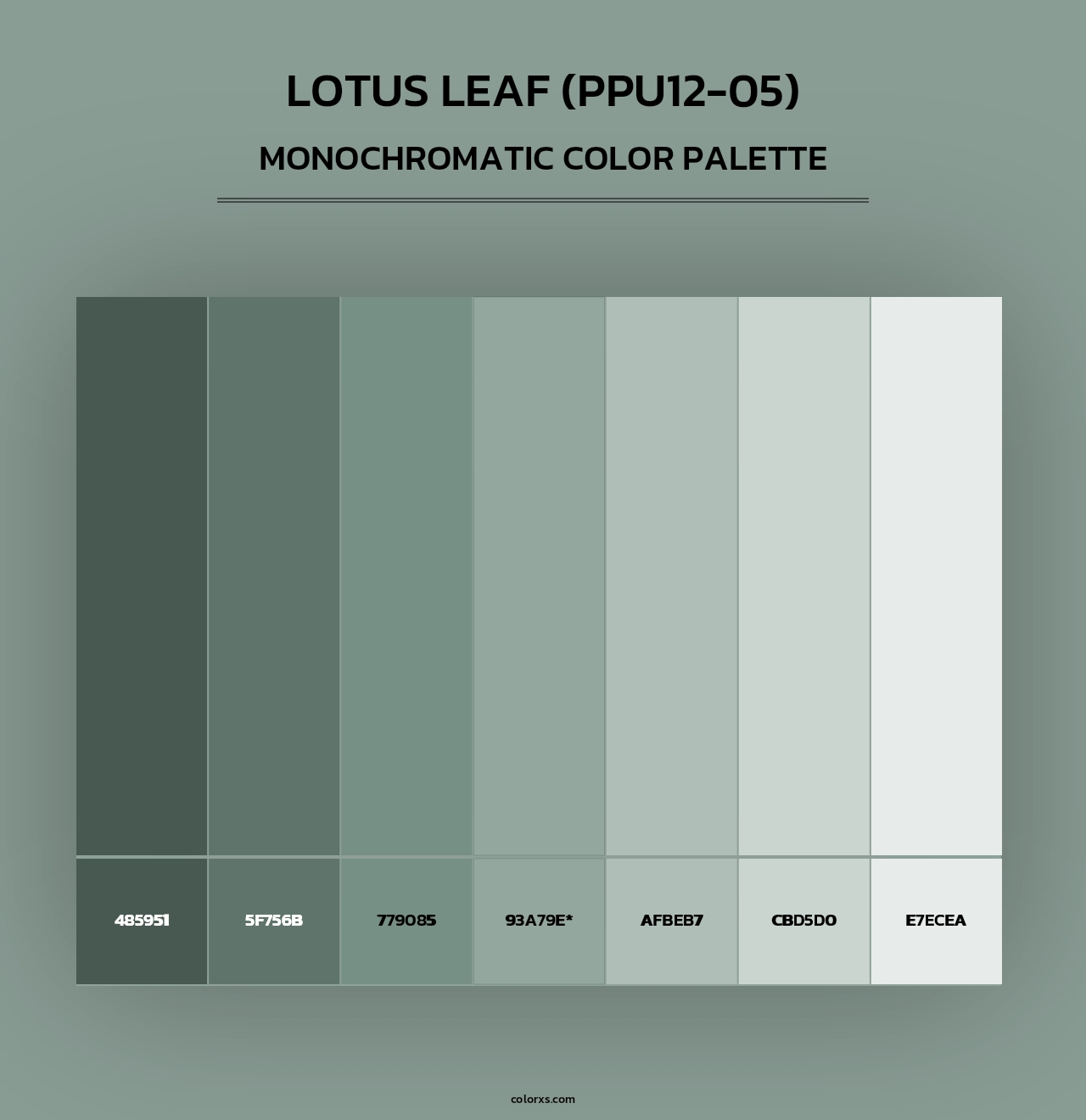 Lotus Leaf (PPU12-05) - Monochromatic Color Palette
