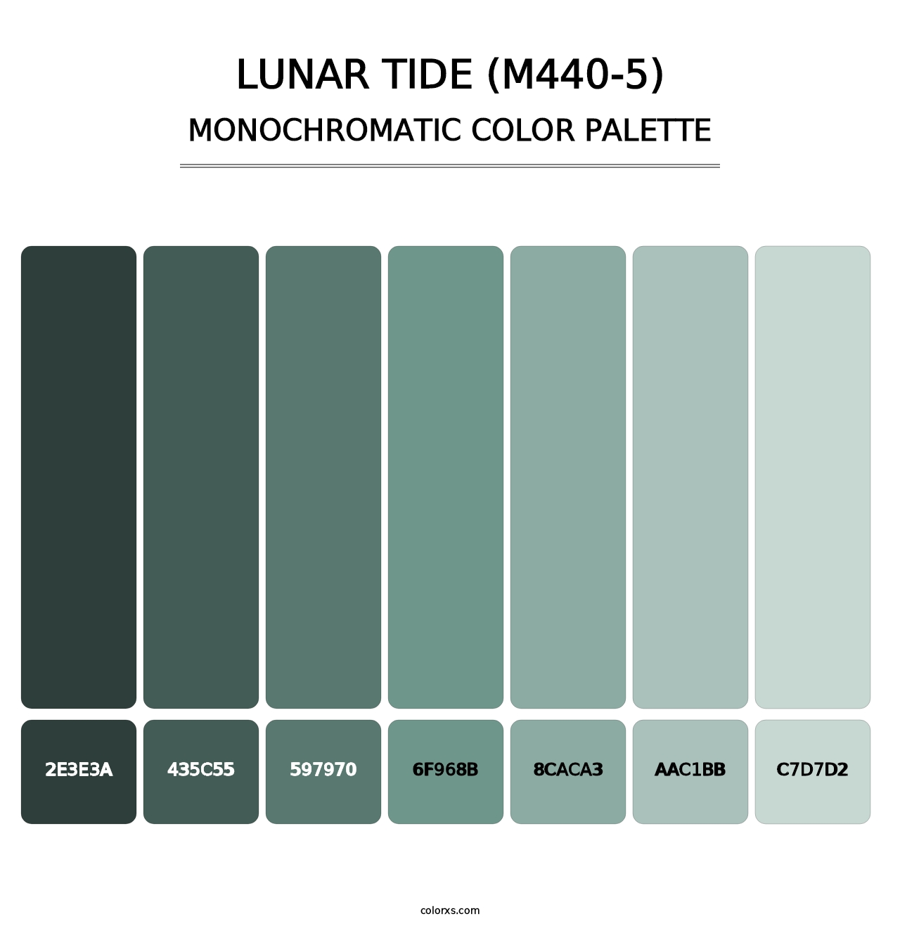 Lunar Tide (M440-5) - Monochromatic Color Palette