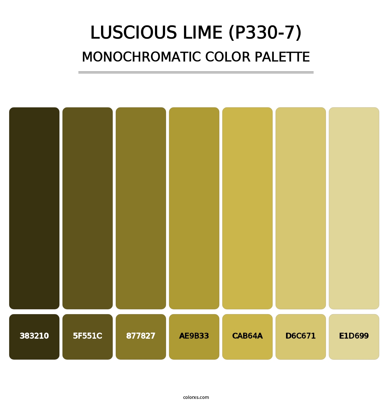 Luscious Lime (P330-7) - Monochromatic Color Palette