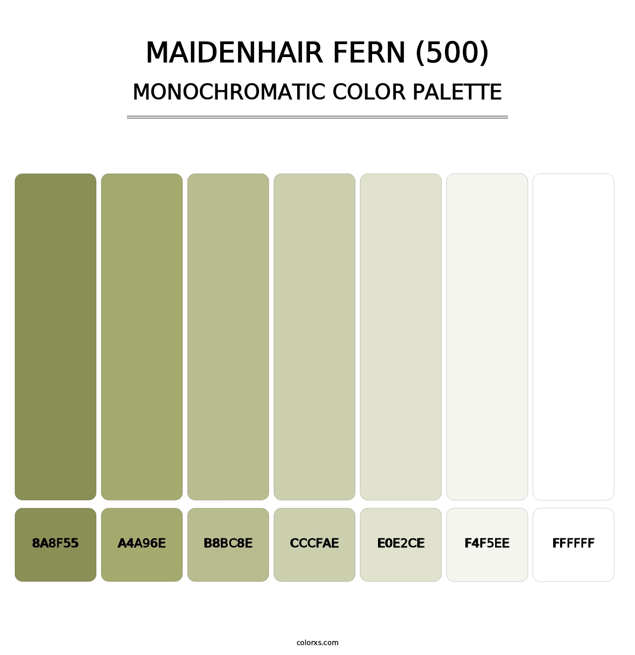 Maidenhair Fern (500) - Monochromatic Color Palette