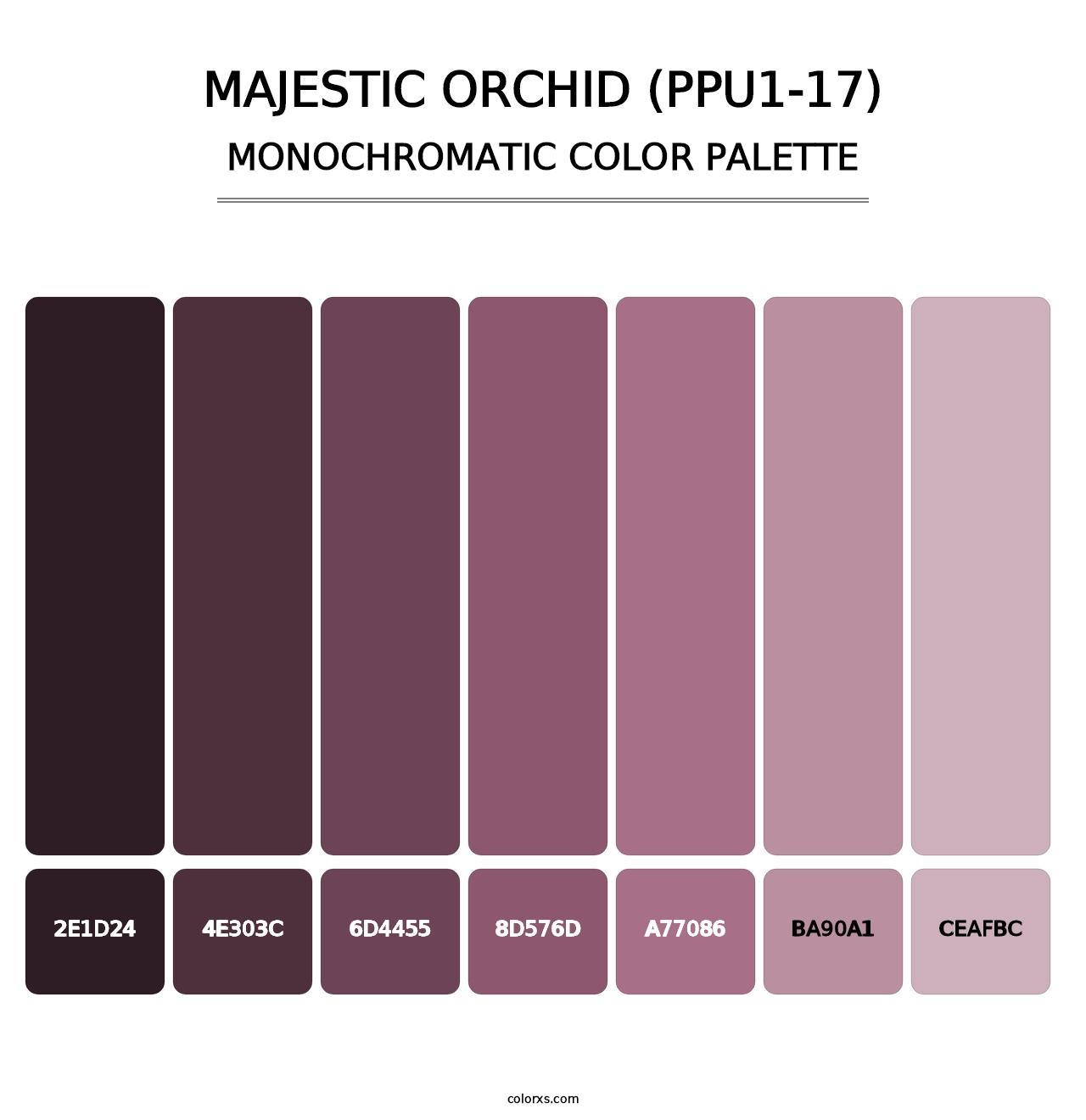 Majestic Orchid (PPU1-17) - Monochromatic Color Palette