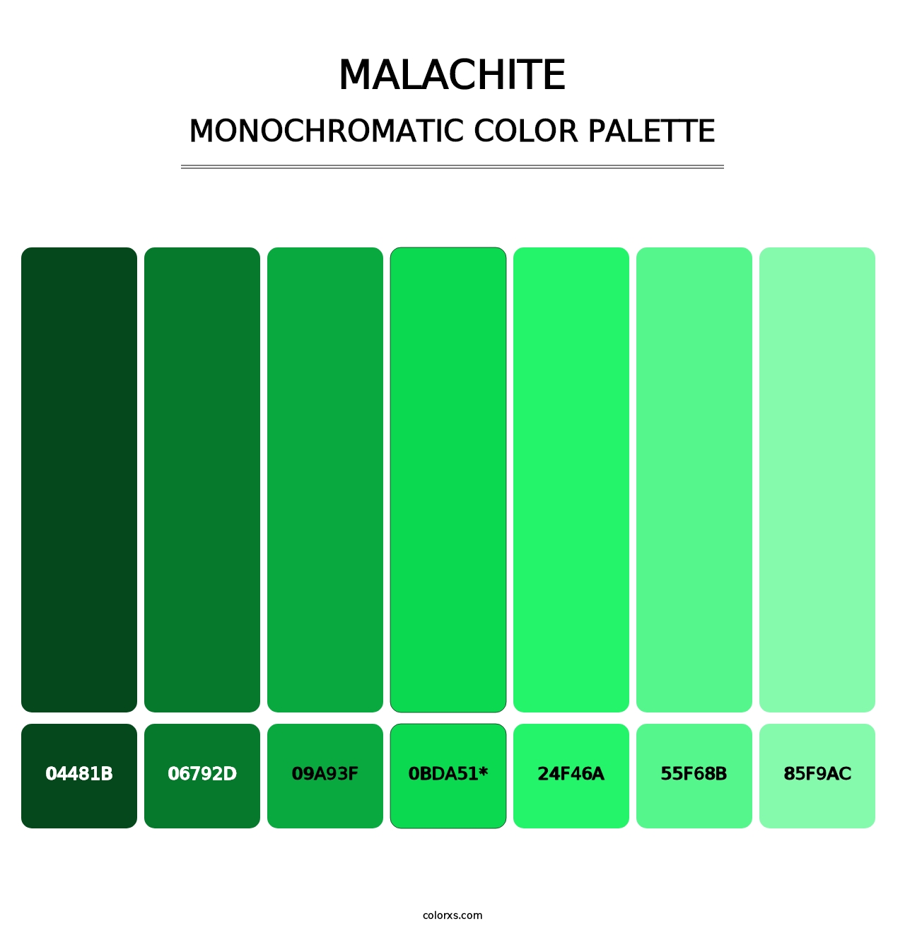 Malachite - Monochromatic Color Palette