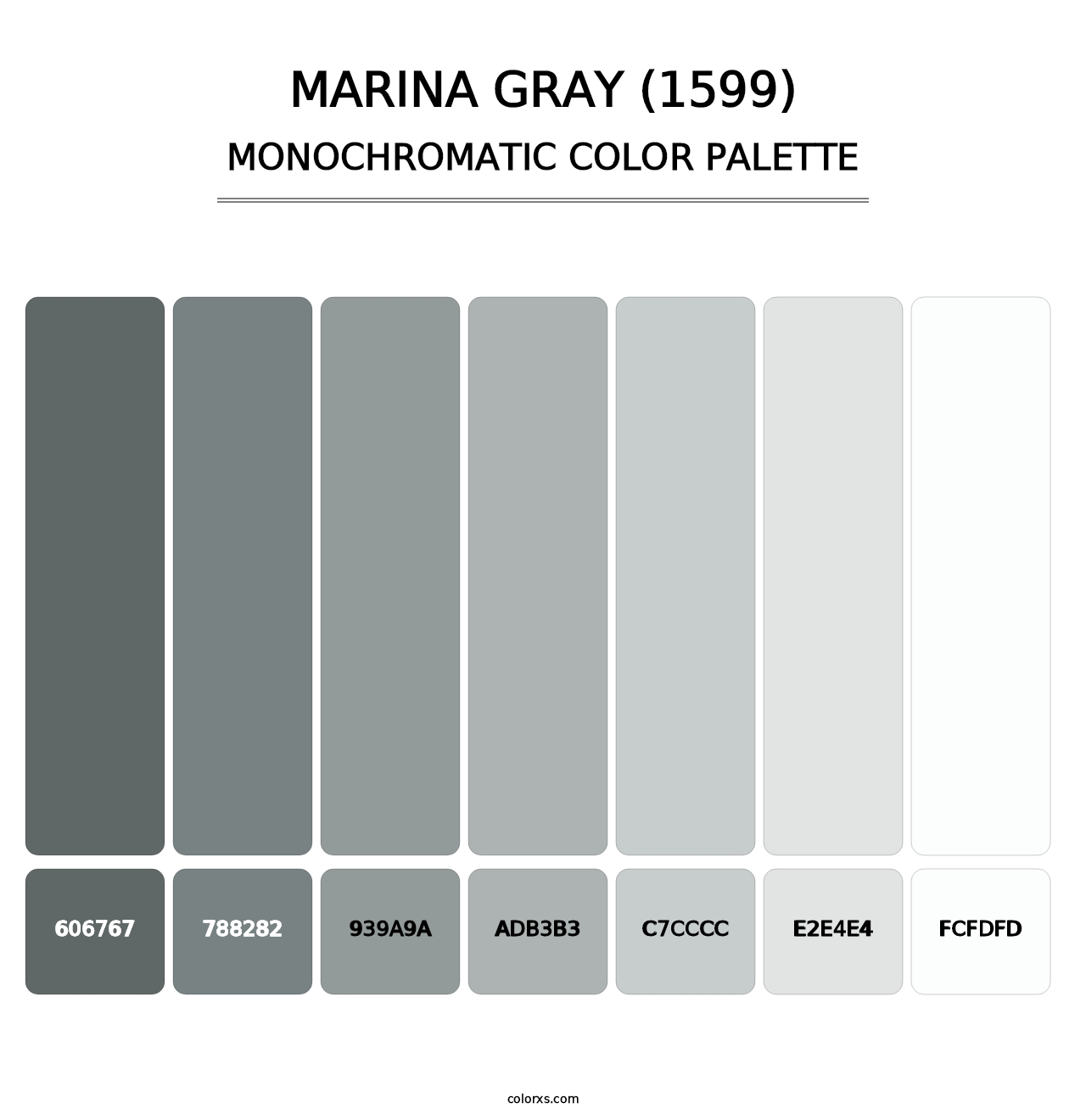 Marina Gray (1599) - Monochromatic Color Palette