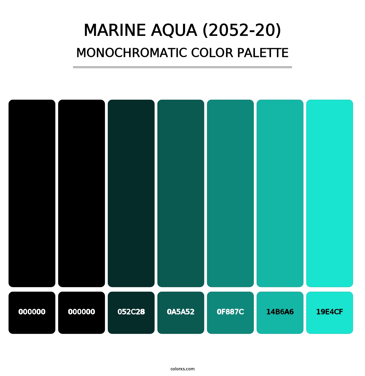 Marine Aqua (2052-20) - Monochromatic Color Palette