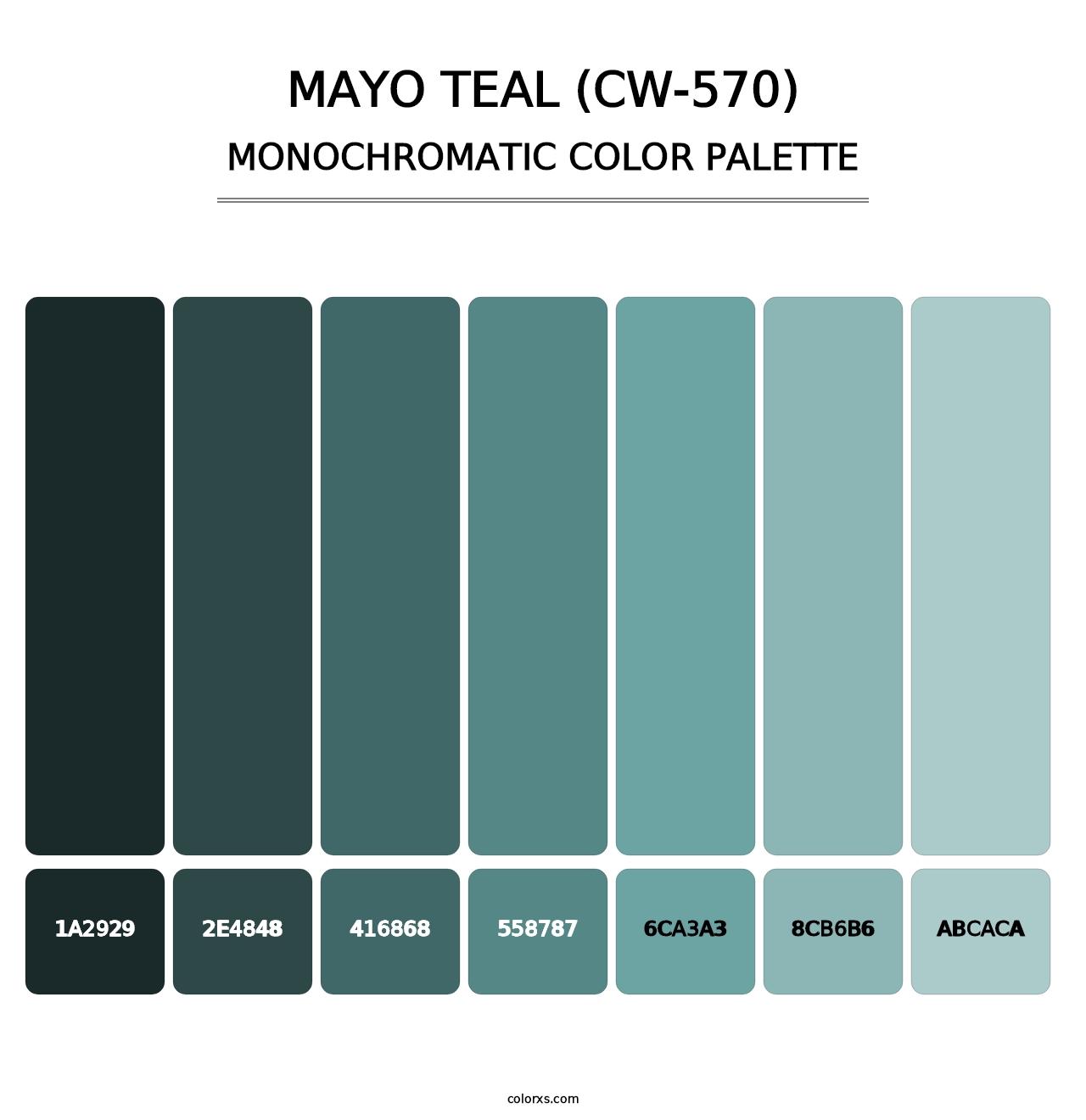 Mayo Teal (CW-570) - Monochromatic Color Palette