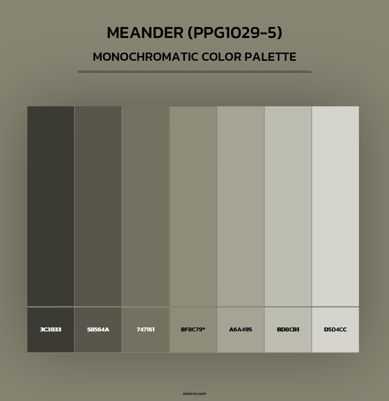 Meander (PPG1029-5) - Monochromatic Color Palette