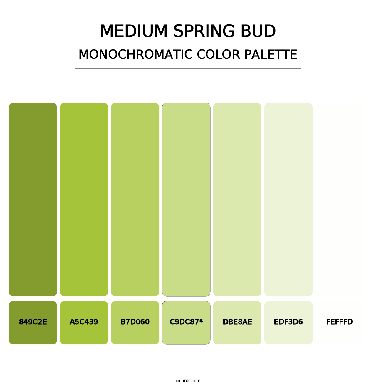 Medium Spring Bud - Monochromatic Color Palette