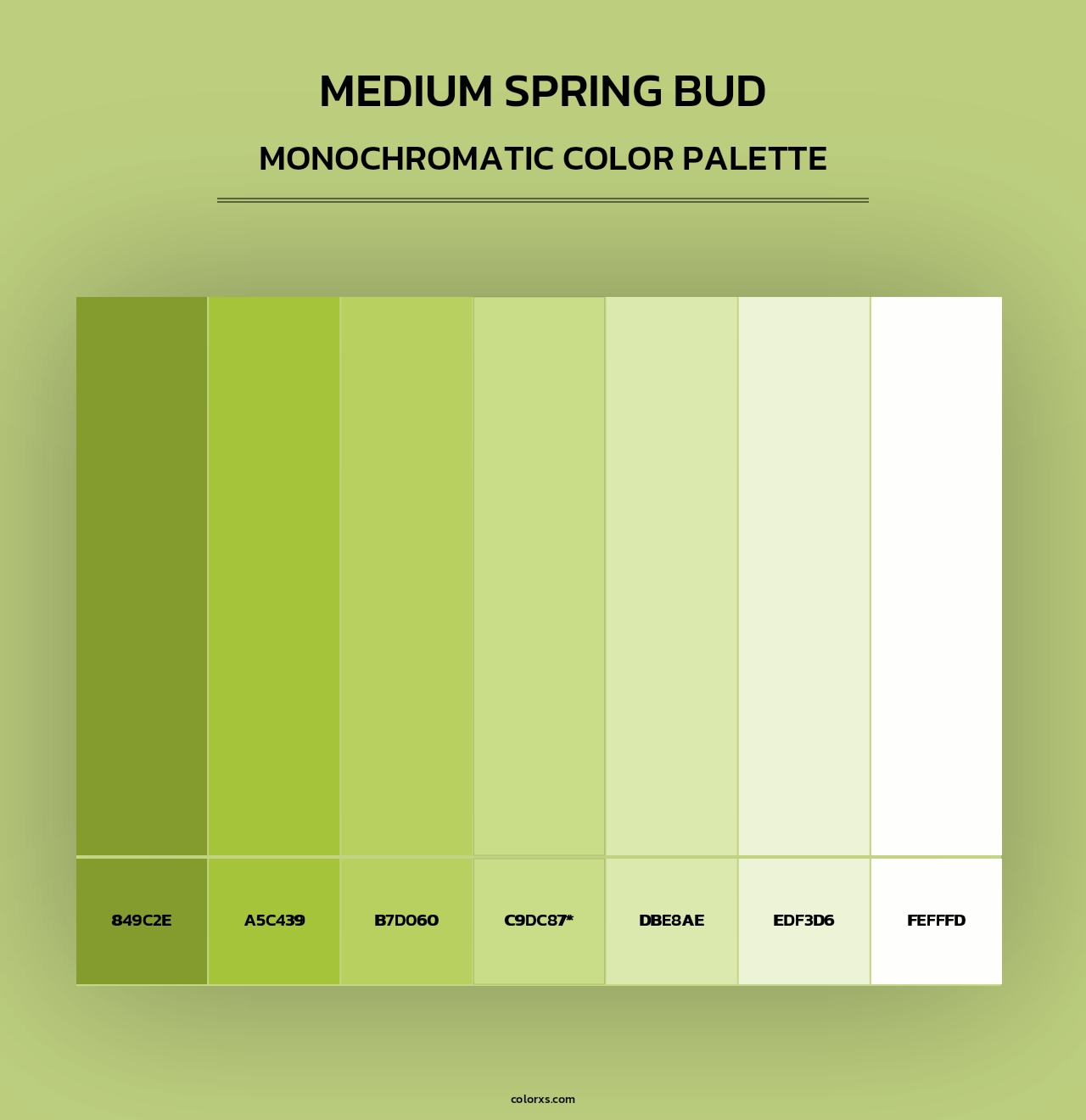 Medium Spring Bud - Monochromatic Color Palette