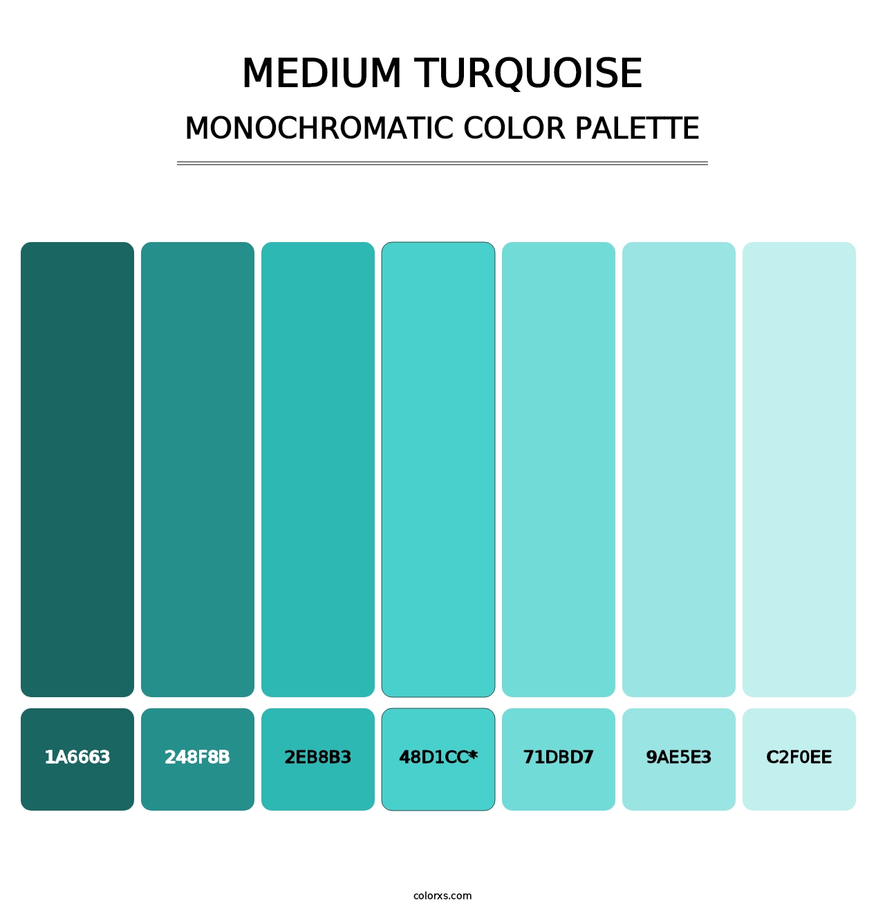Medium Turquoise - Monochromatic Color Palette