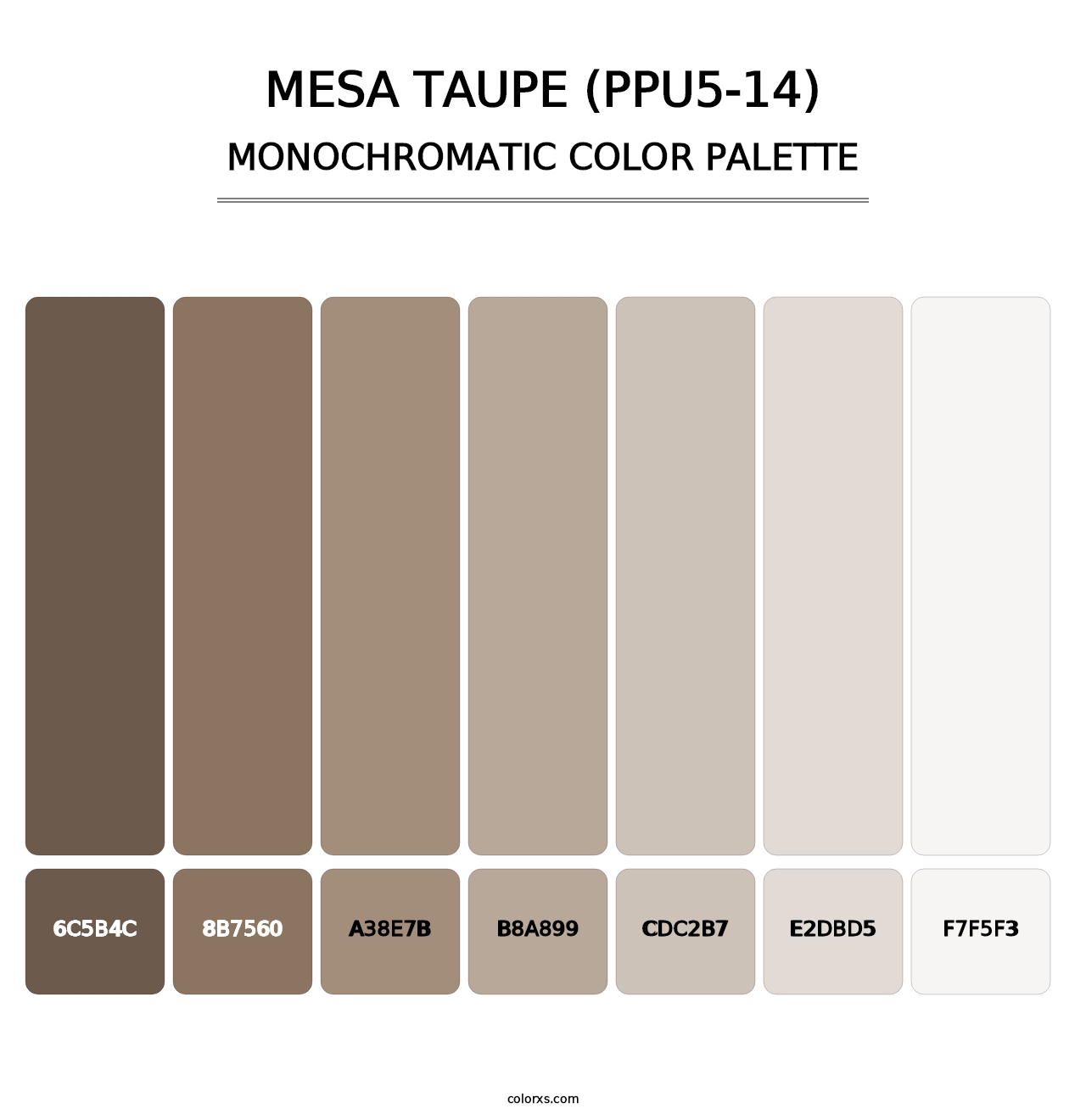 Mesa Taupe (PPU5-14) - Monochromatic Color Palette