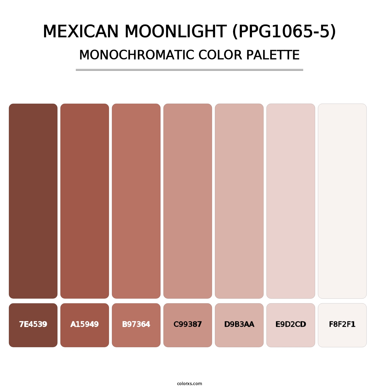 Mexican Moonlight (PPG1065-5) - Monochromatic Color Palette
