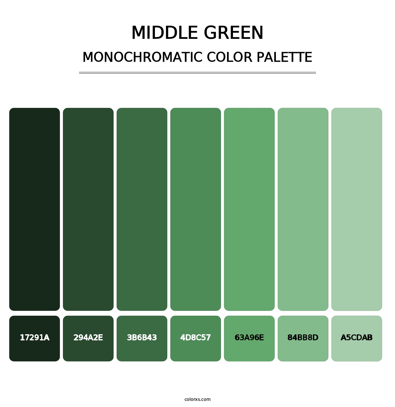Middle Green - Monochromatic Color Palette