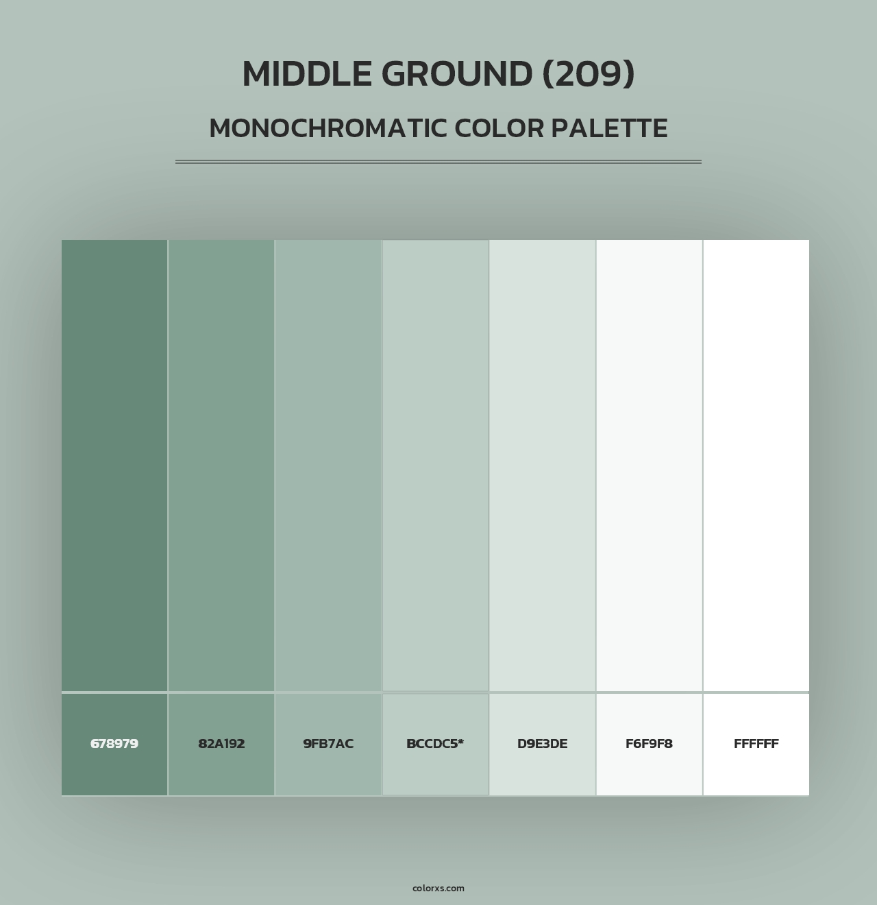 Middle Ground (209) - Monochromatic Color Palette
