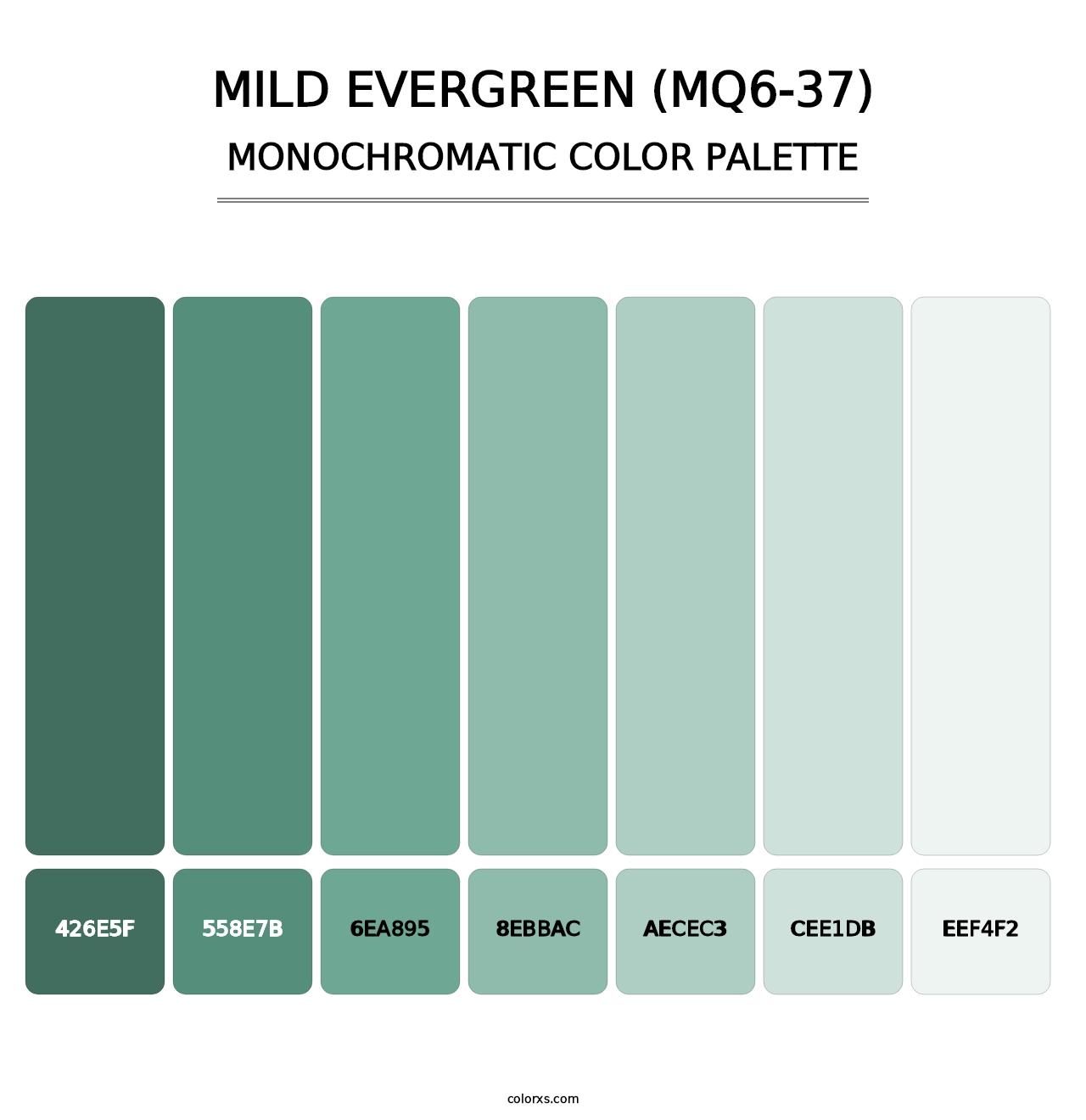 Mild Evergreen (MQ6-37) - Monochromatic Color Palette