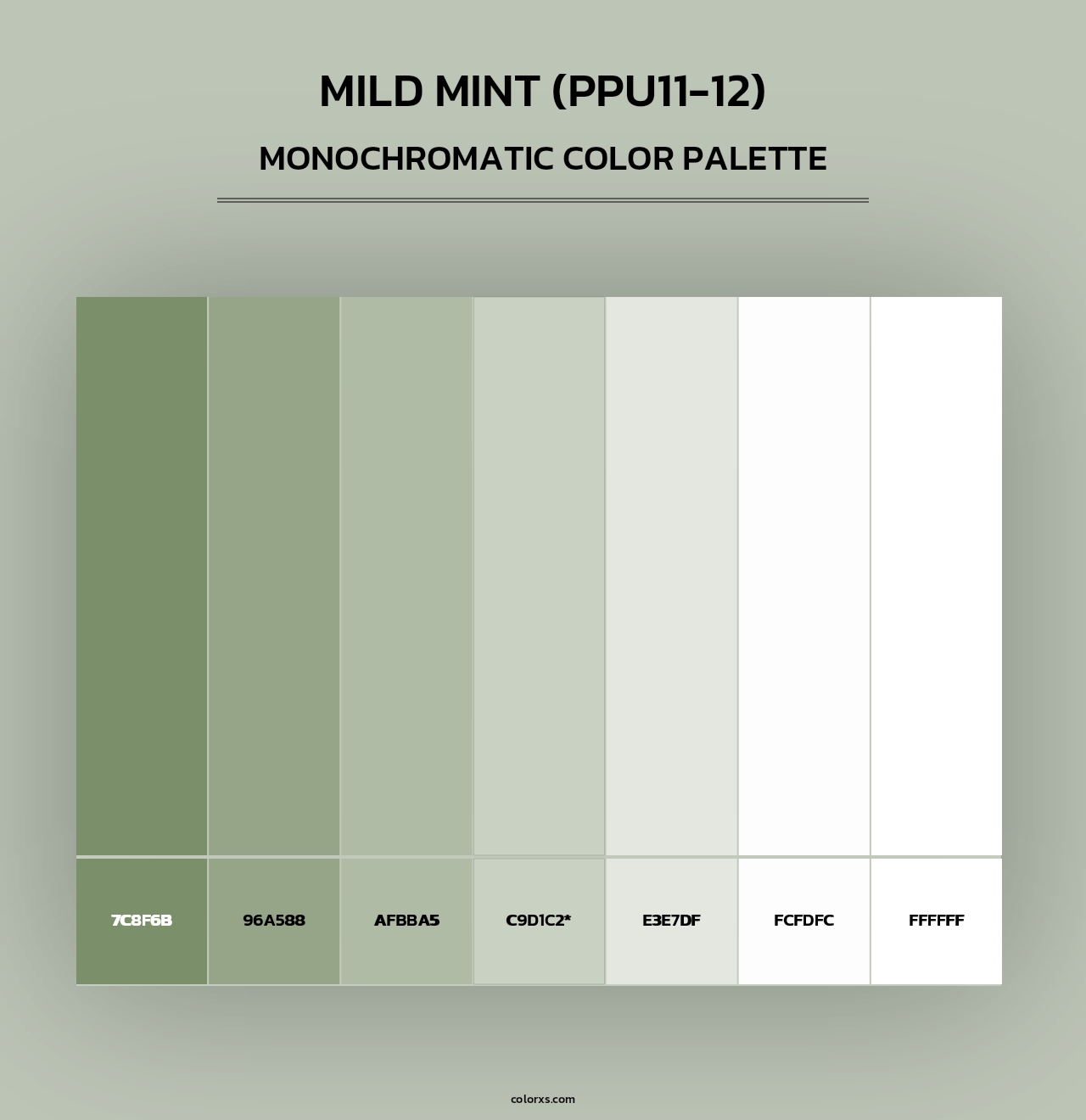 Mild Mint (PPU11-12) - Monochromatic Color Palette