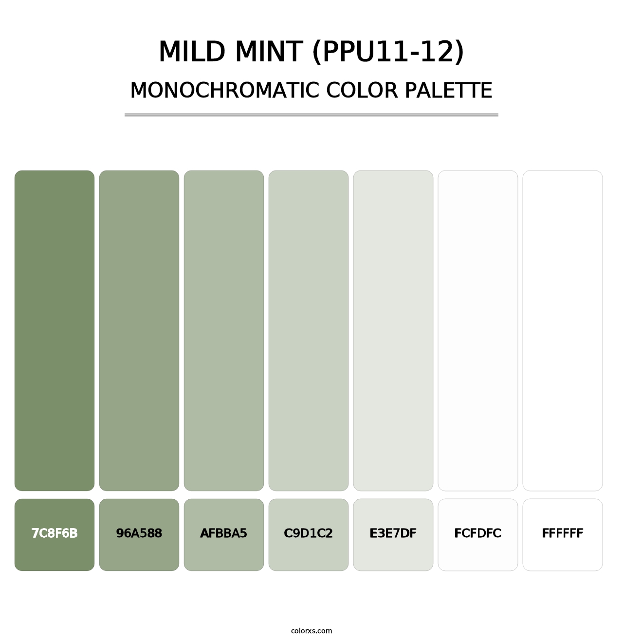 Mild Mint (PPU11-12) - Monochromatic Color Palette