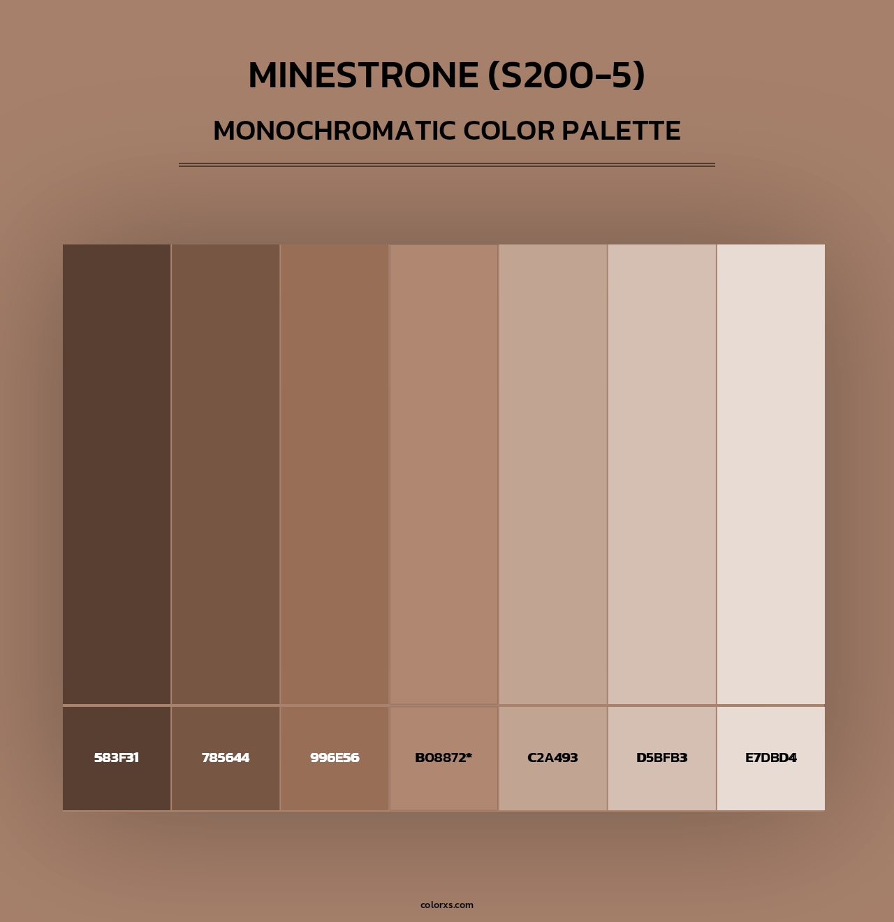 Minestrone (S200-5) - Monochromatic Color Palette