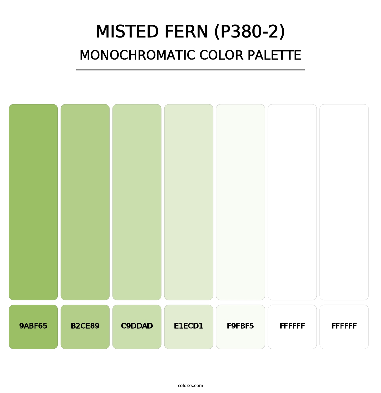 Misted Fern (P380-2) - Monochromatic Color Palette