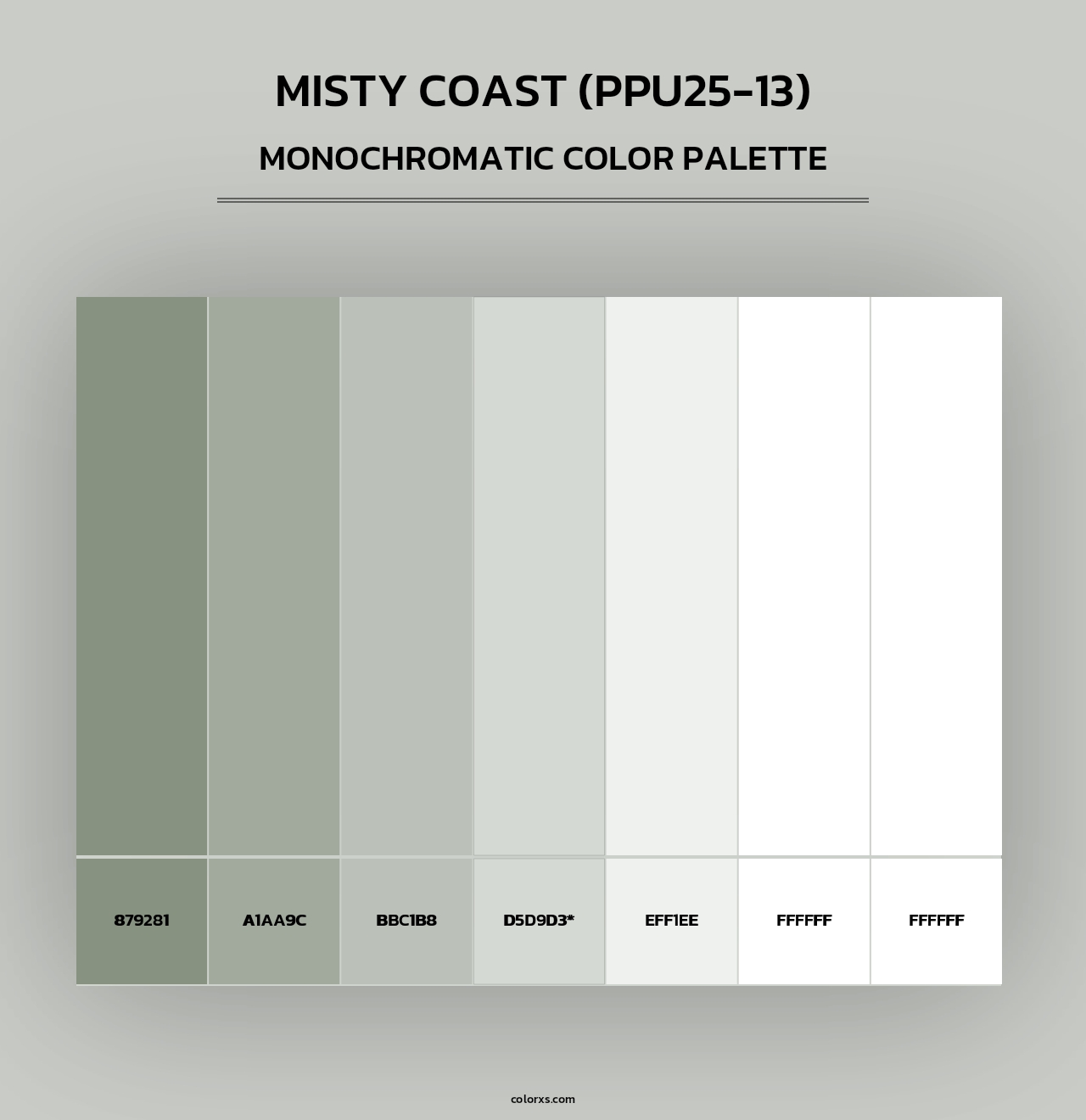 Misty Coast (PPU25-13) - Monochromatic Color Palette