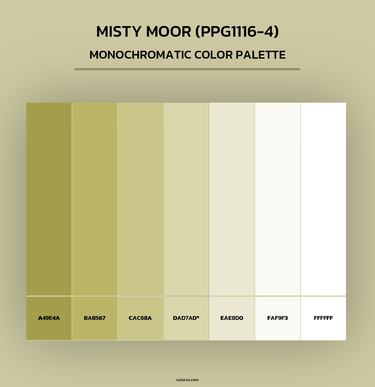 Misty Moor (PPG1116-4) - Monochromatic Color Palette
