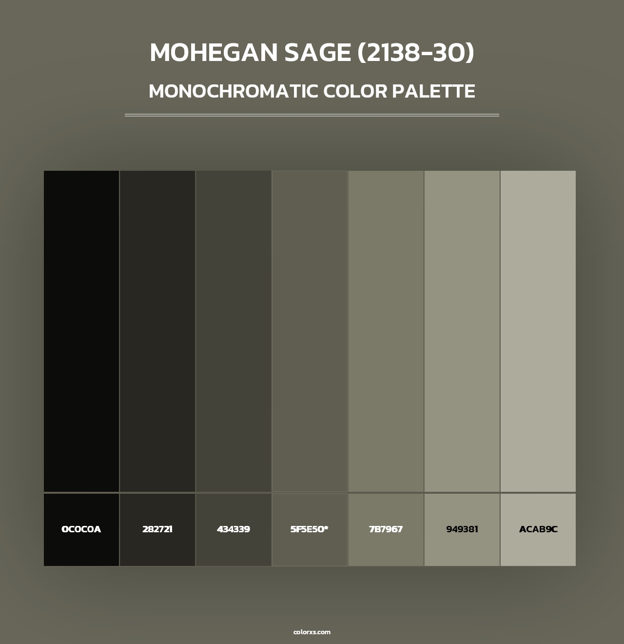 Mohegan Sage (2138-30) - Monochromatic Color Palette