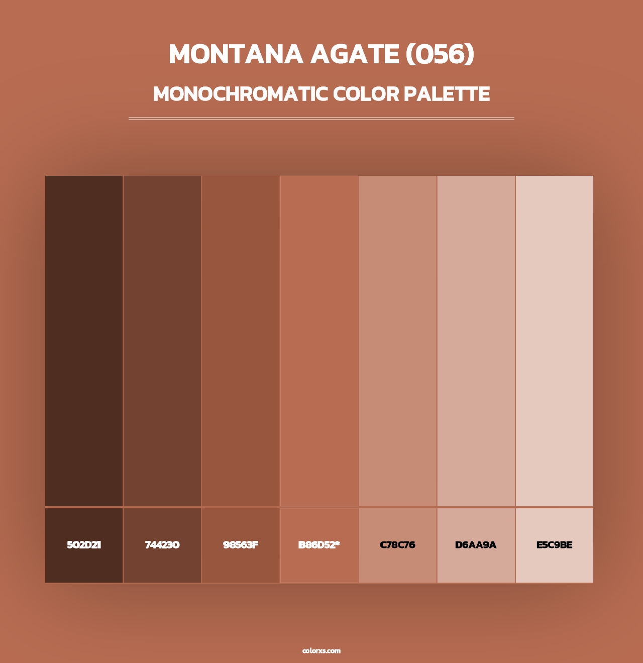 Montana Agate (056) - Monochromatic Color Palette