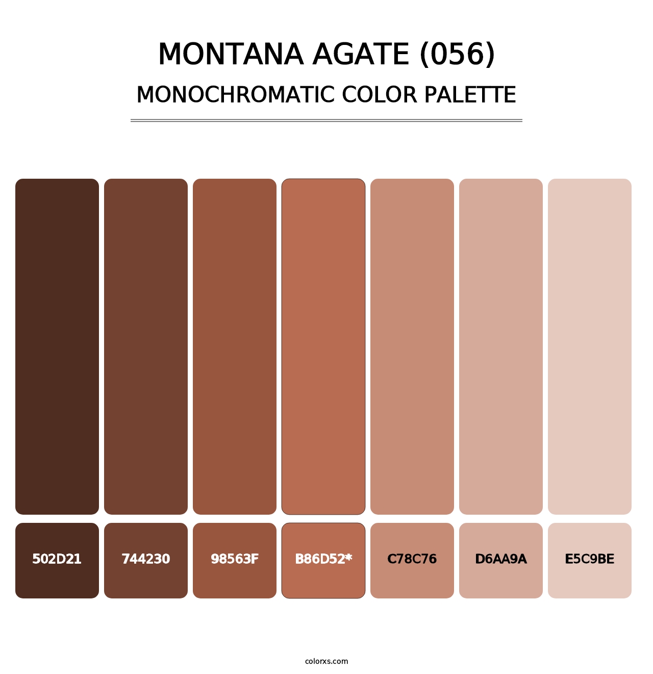 Montana Agate (056) - Monochromatic Color Palette