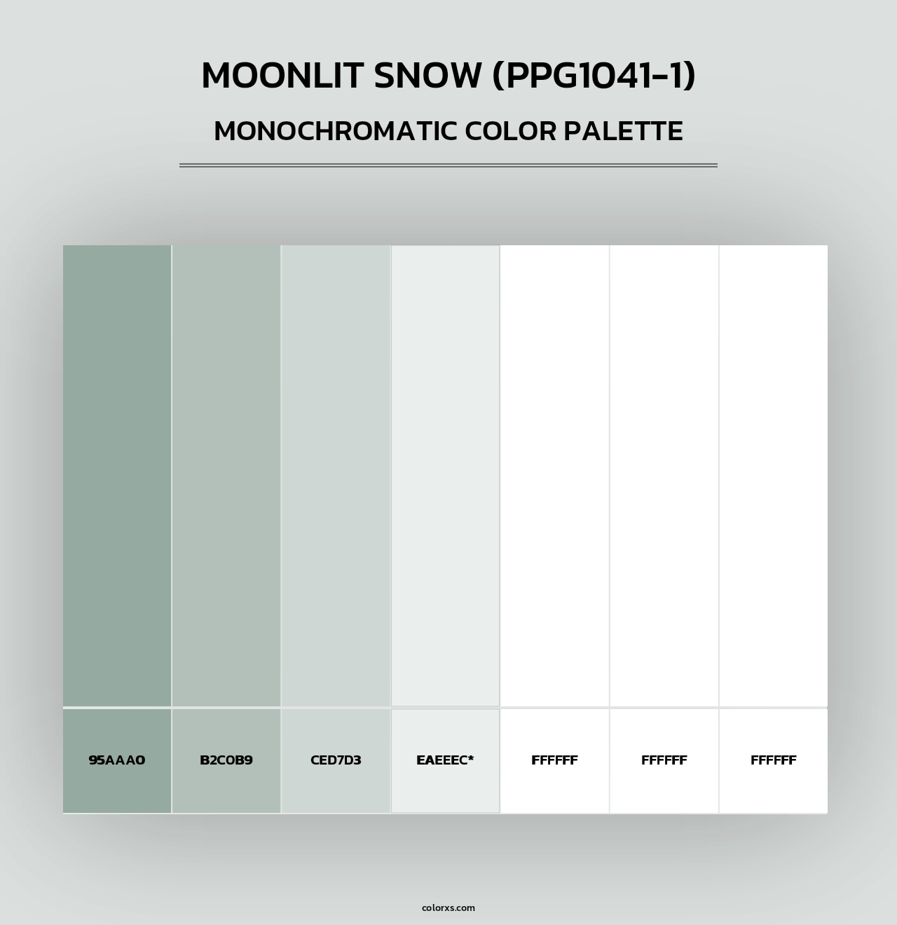 Moonlit Snow (PPG1041-1) - Monochromatic Color Palette