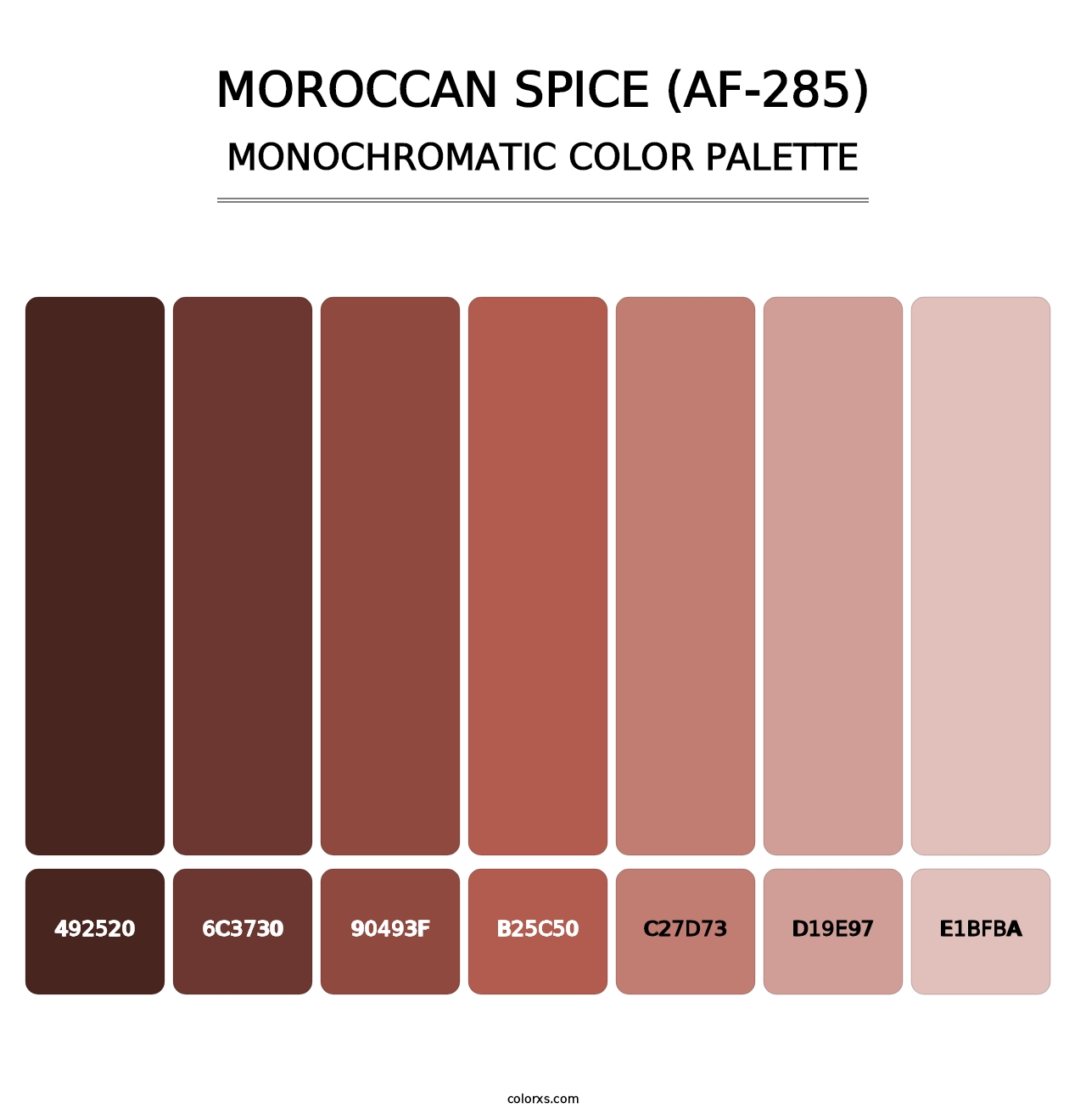 Moroccan Spice (AF-285) - Monochromatic Color Palette