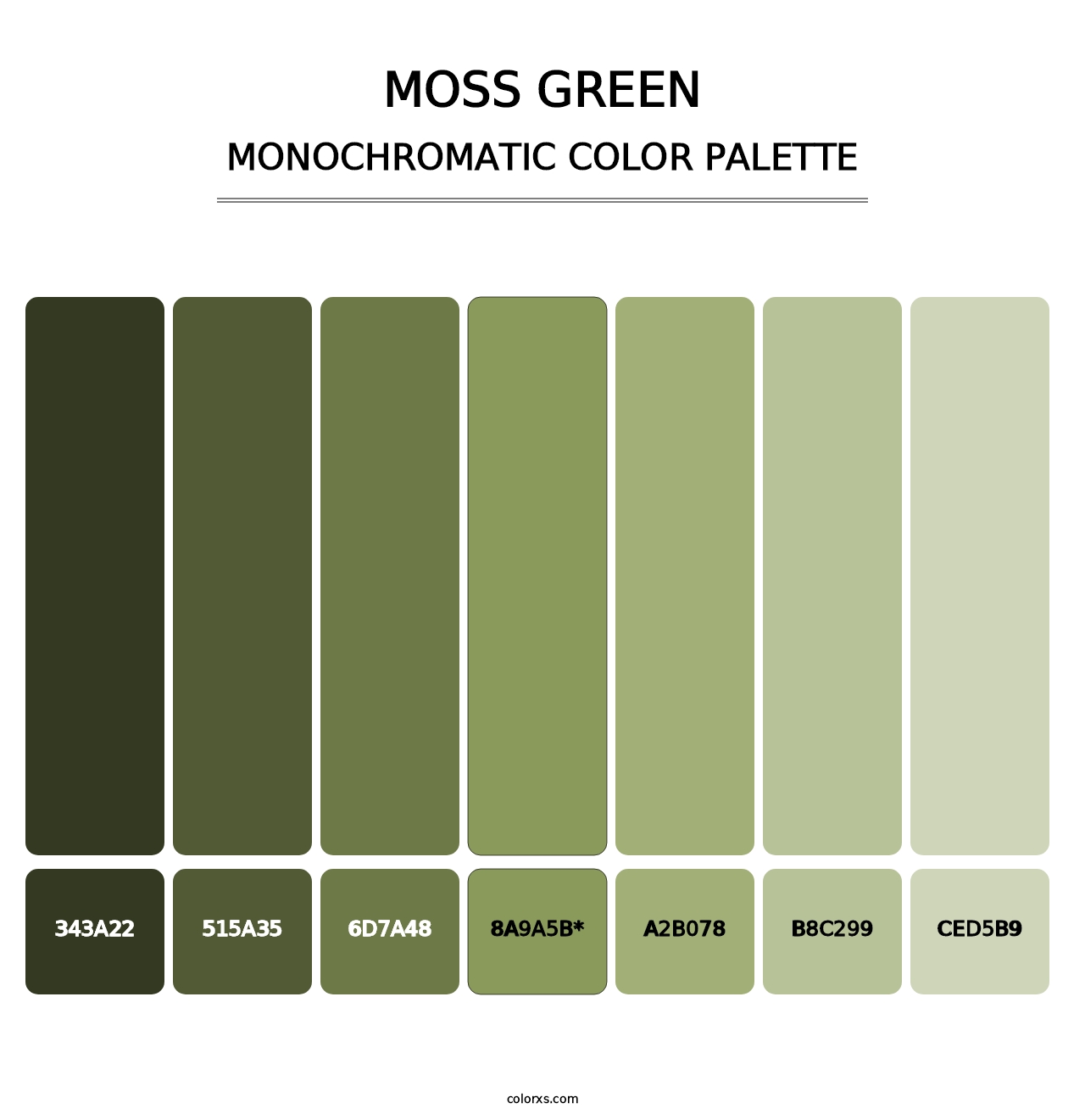 Moss Green - Monochromatic Color Palette