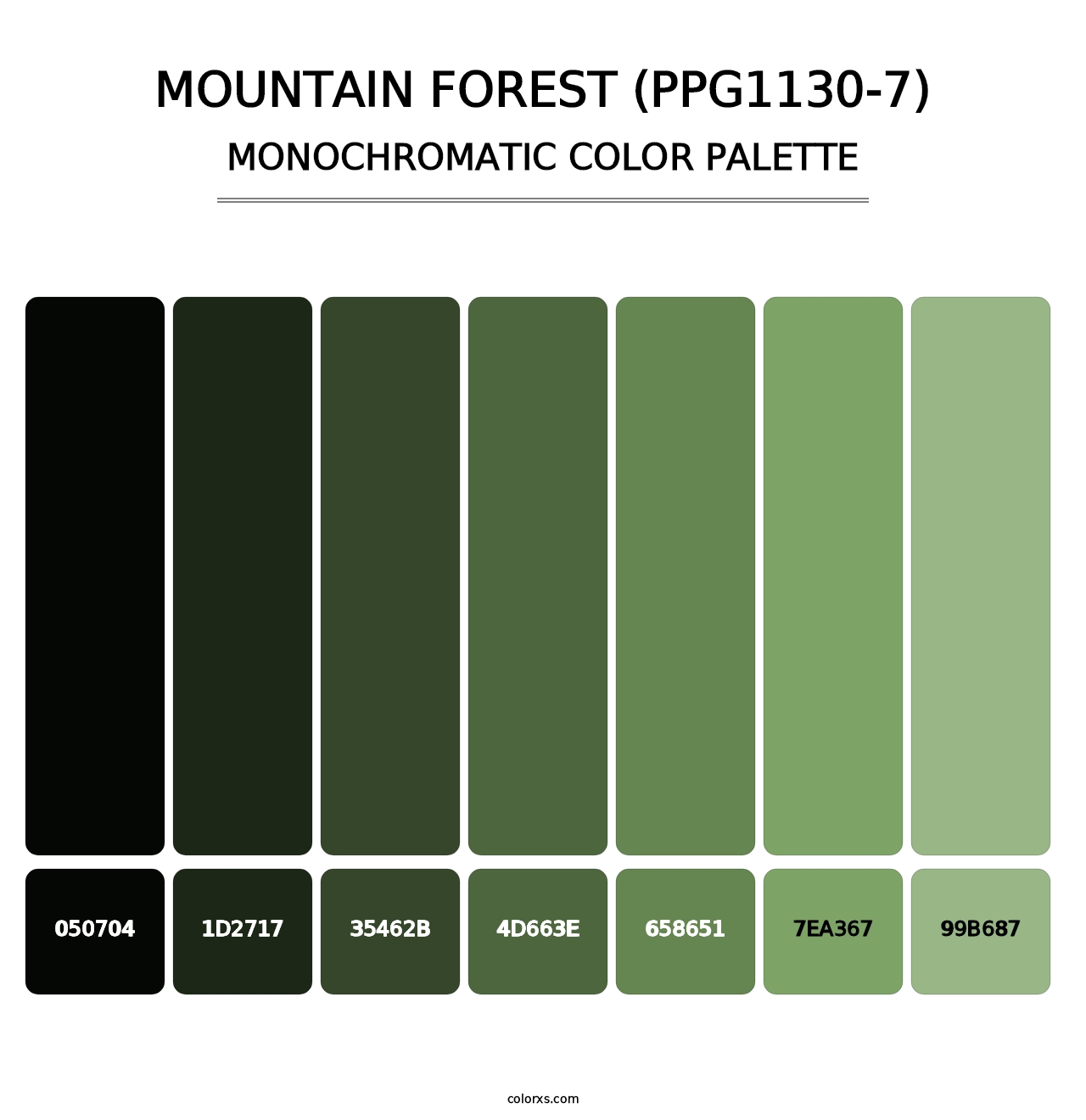 Mountain Forest (PPG1130-7) - Monochromatic Color Palette