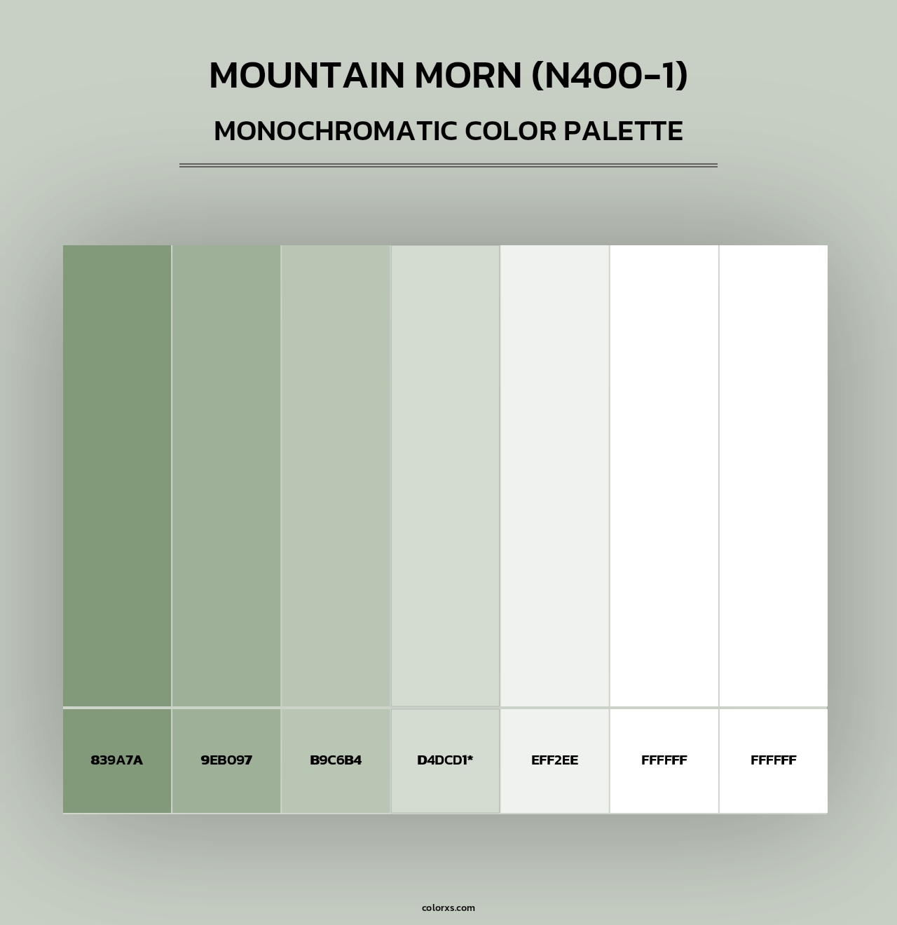 Mountain Morn (N400-1) - Monochromatic Color Palette