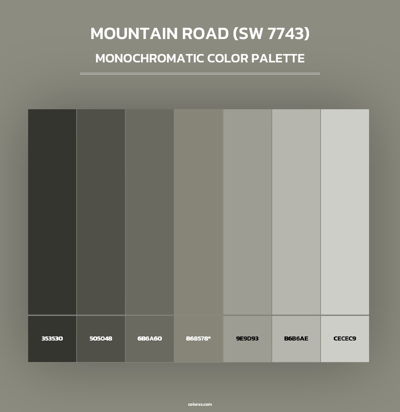 Mountain Road (SW 7743) - Monochromatic Color Palette
