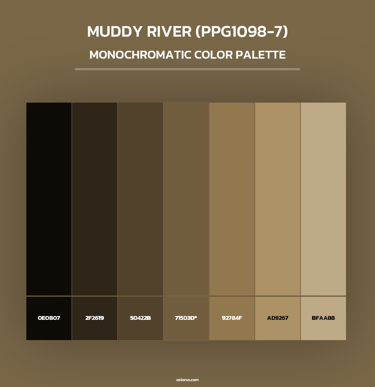 Muddy River (PPG1098-7) - Monochromatic Color Palette