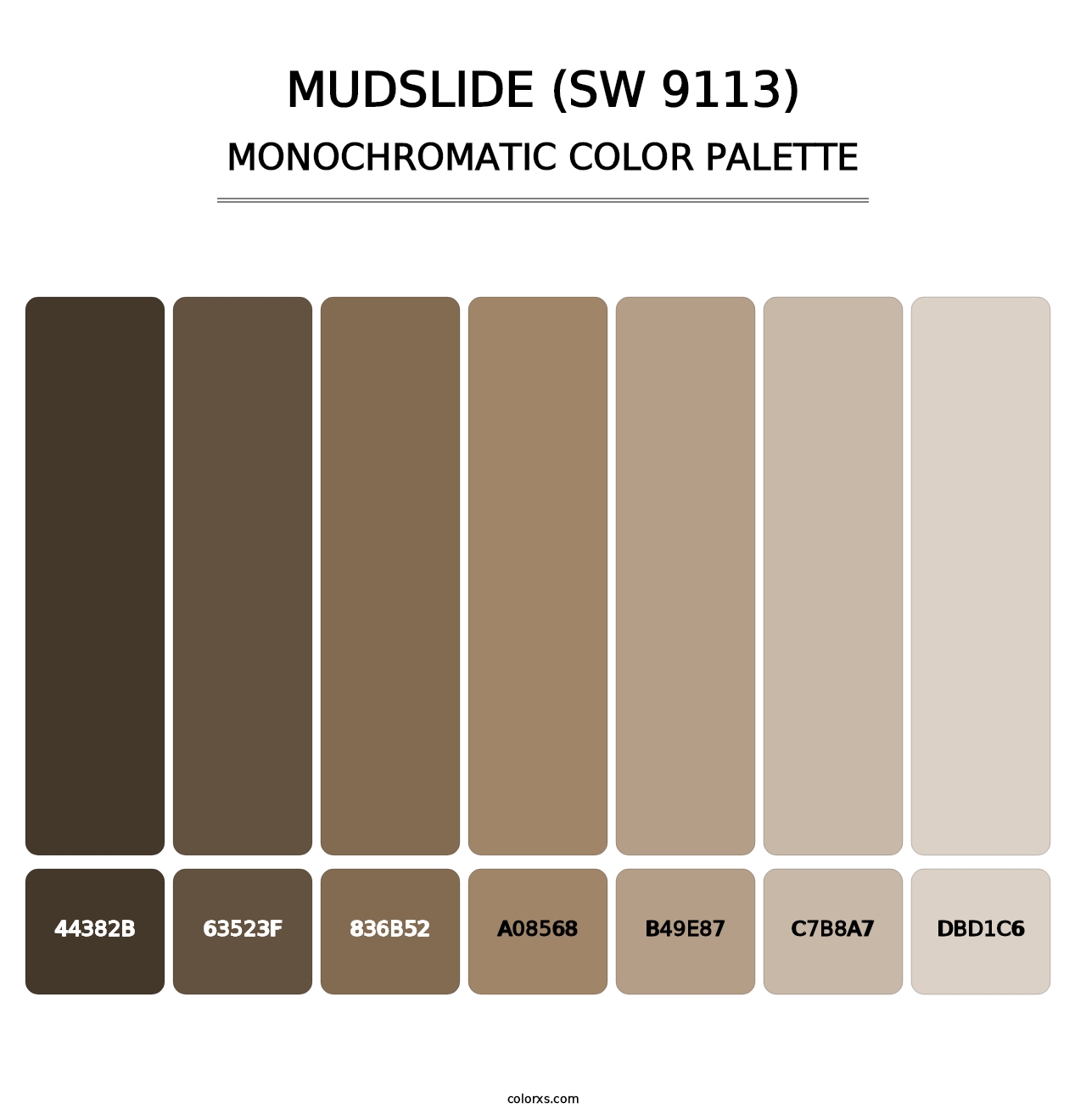 Mudslide (SW 9113) - Monochromatic Color Palette