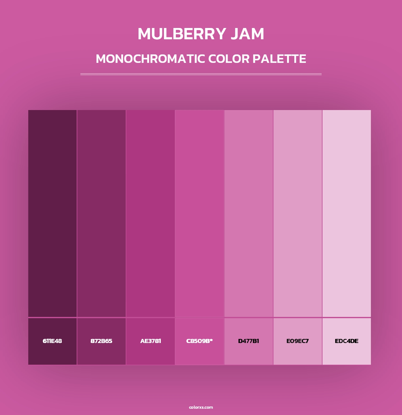 Mulberry Jam - Monochromatic Color Palette