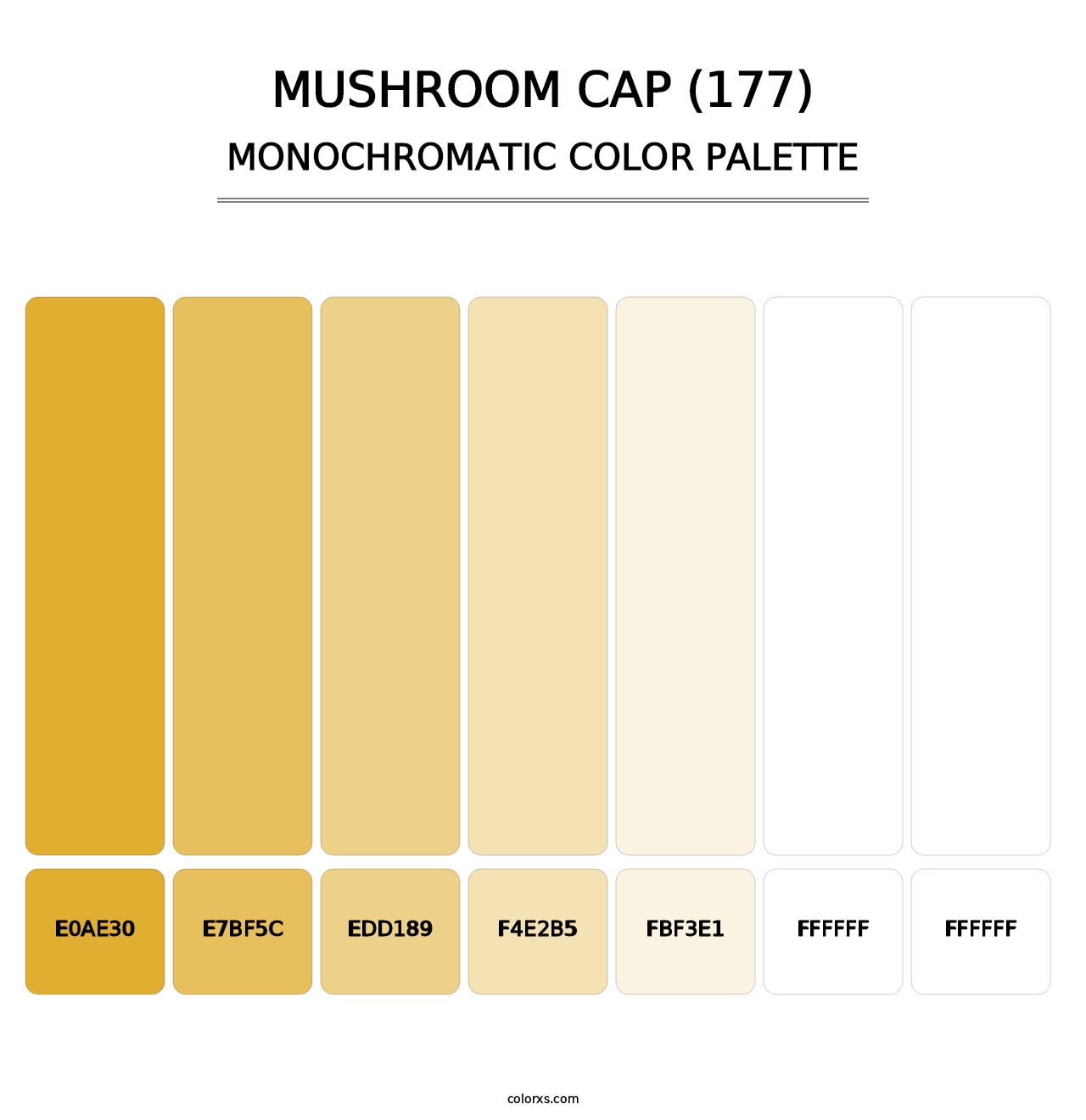 Mushroom Cap (177) - Monochromatic Color Palette